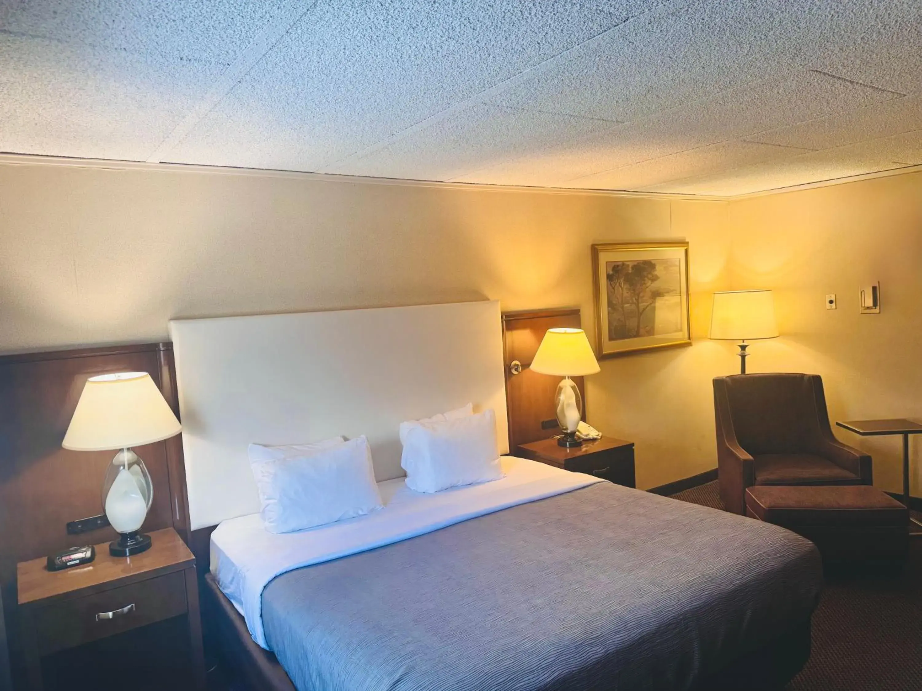 King Room - Accessible/Non-Smoking in Quality Inn Horseheads King Room - Accessible/Non-Smoking in Quality Inn Horseheads