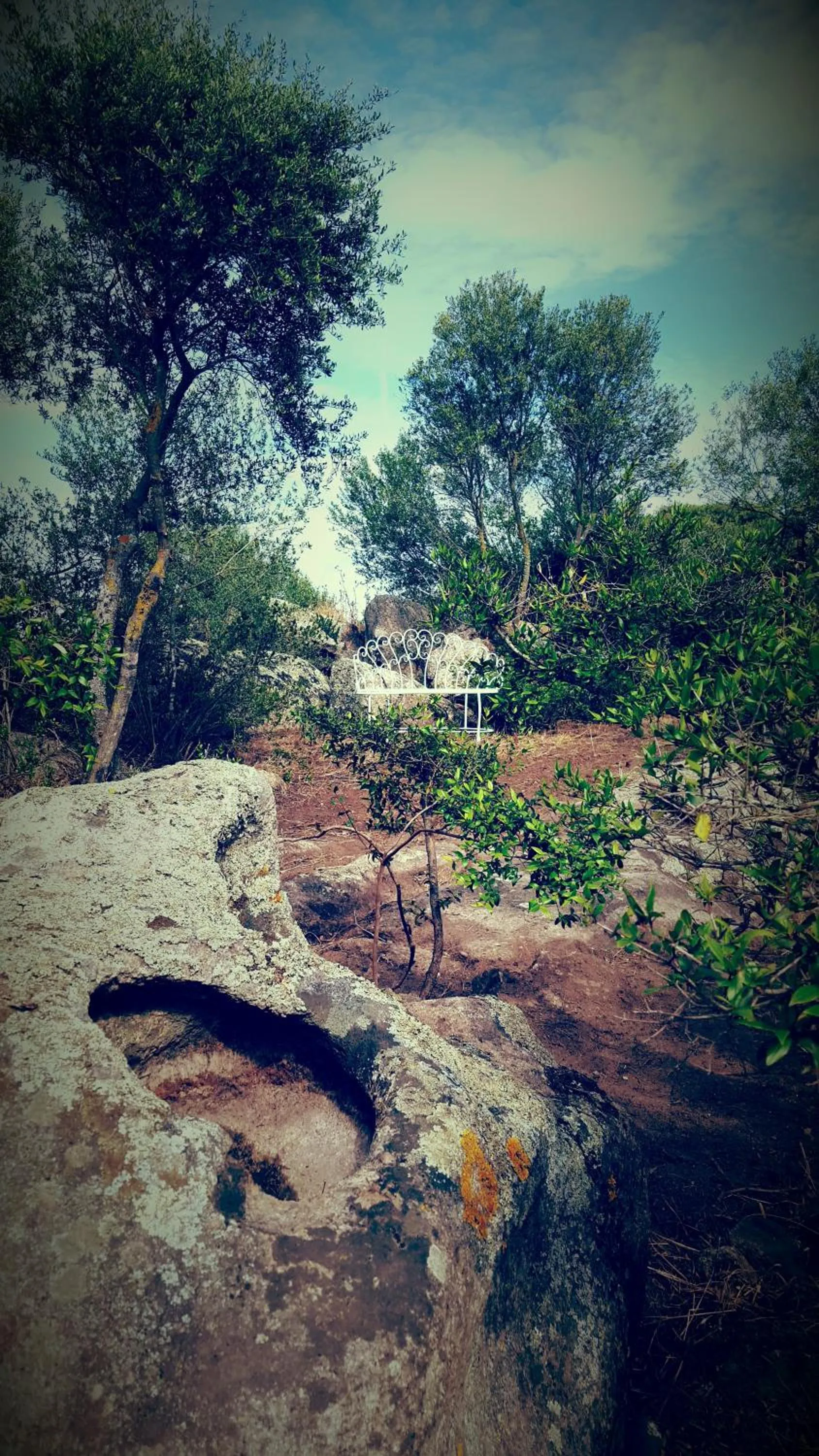 Garden in Nacchinono