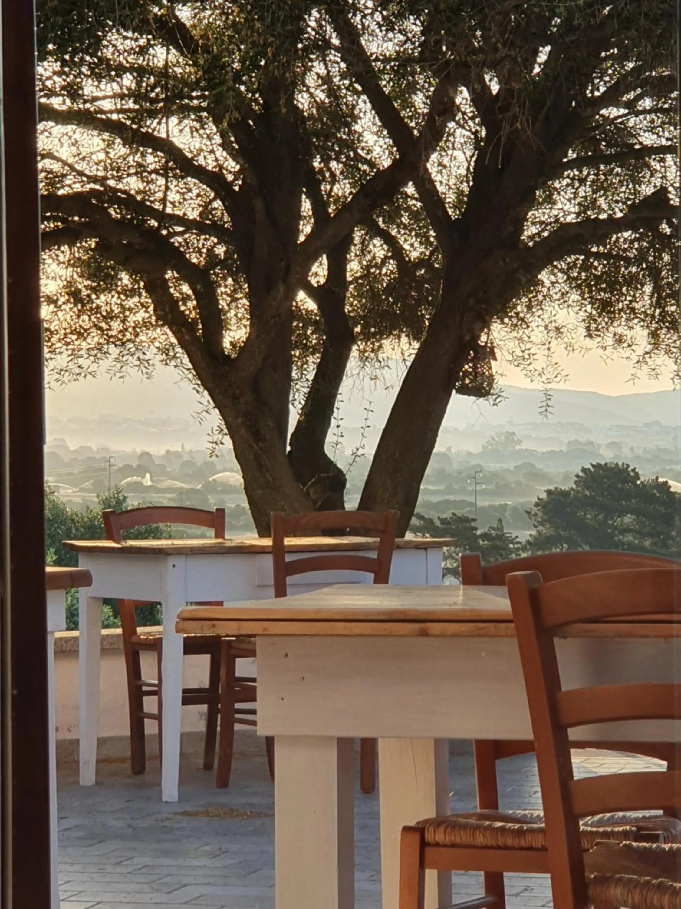 Restaurant/places to eat in Nacchinono