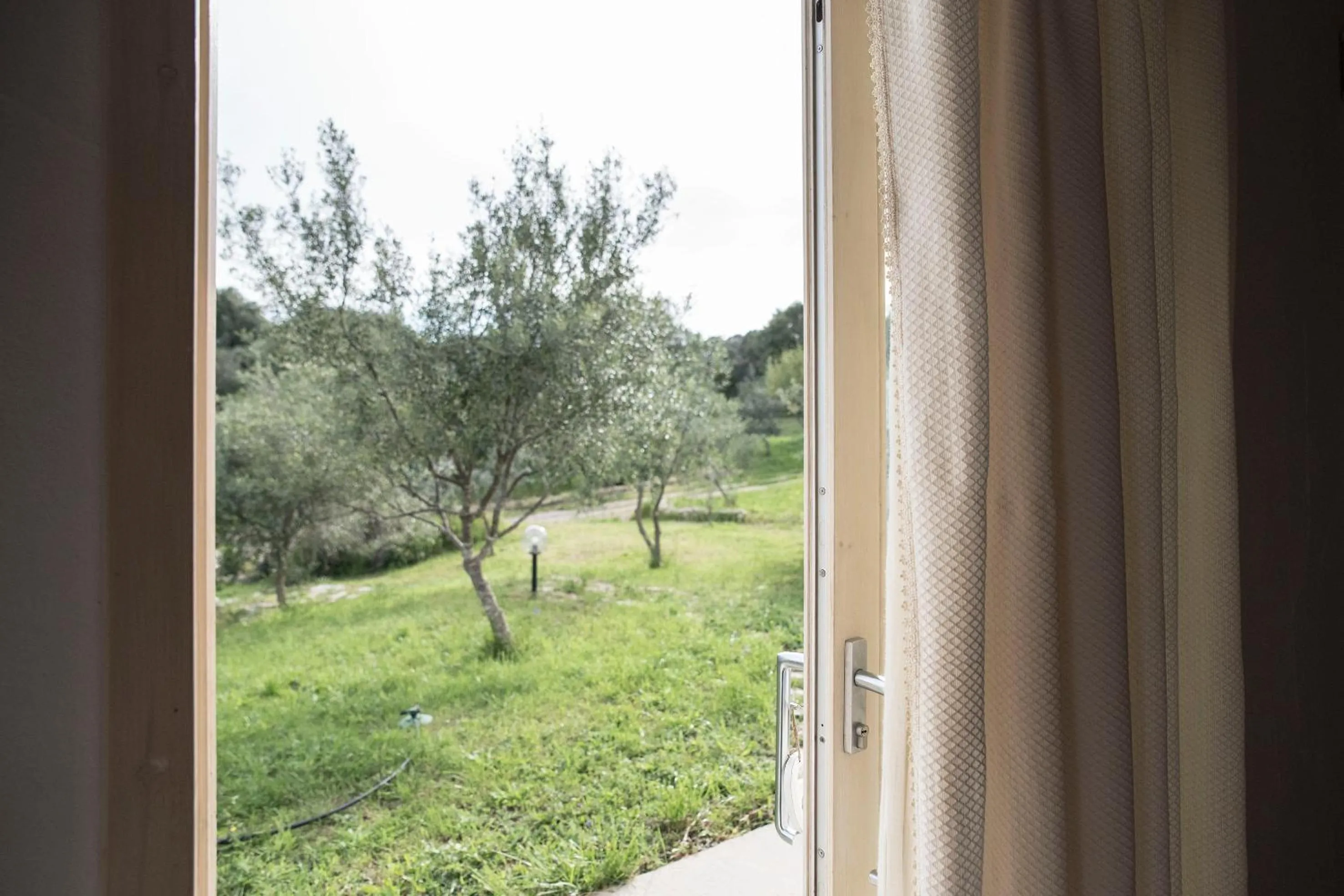 Natural landscape in Nacchinono