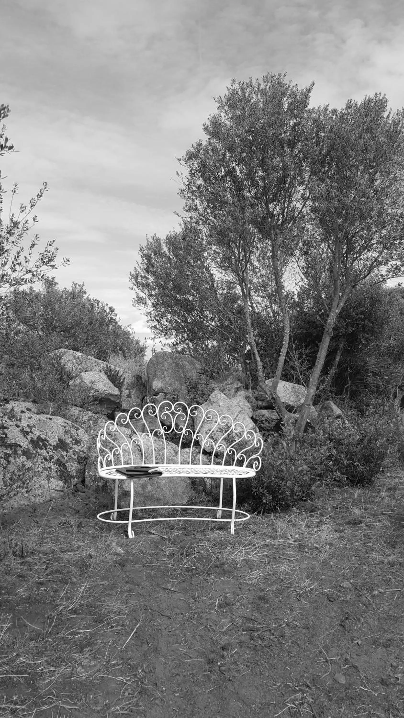 Garden in Nacchinono