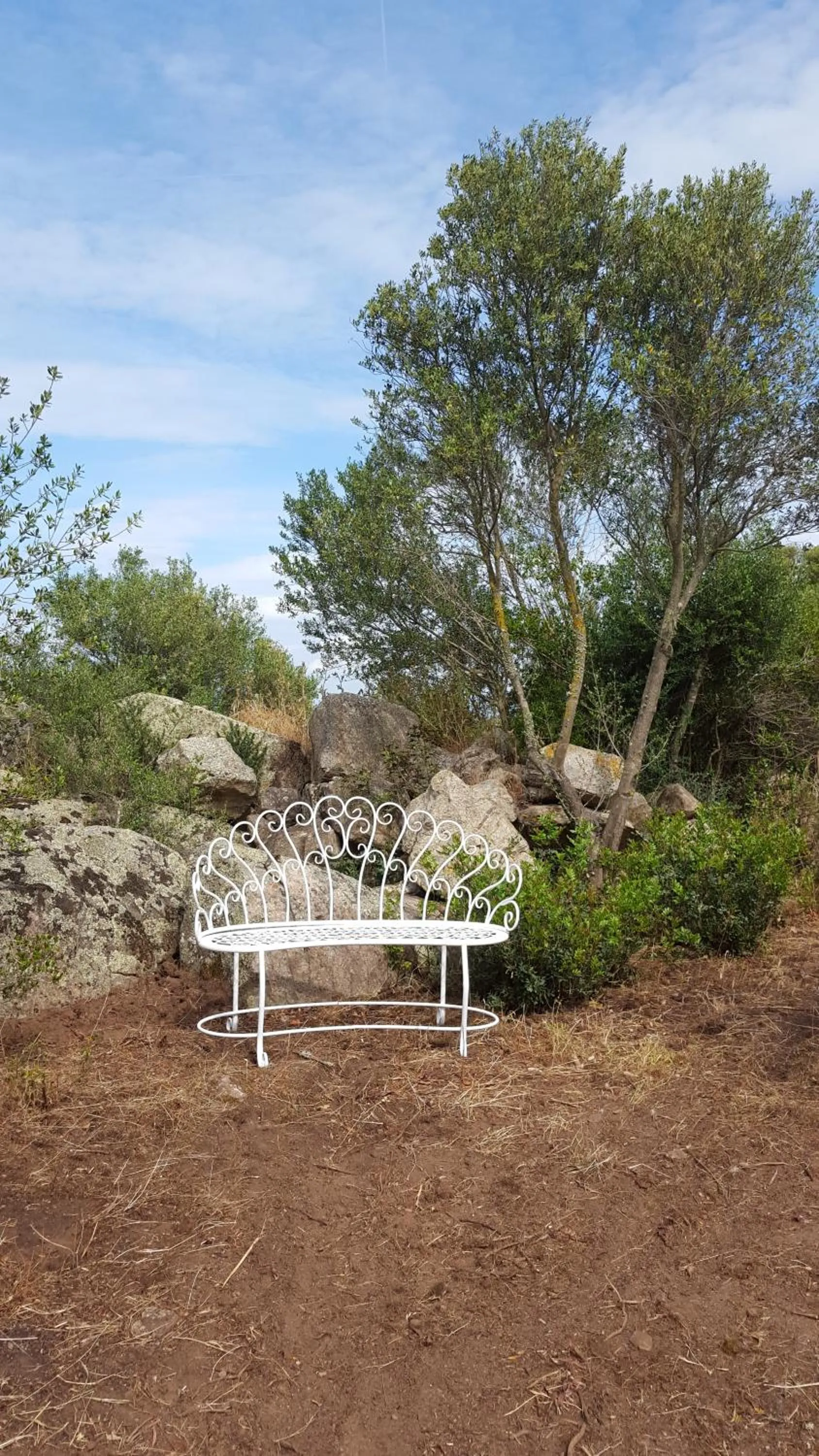 Garden in Nacchinono