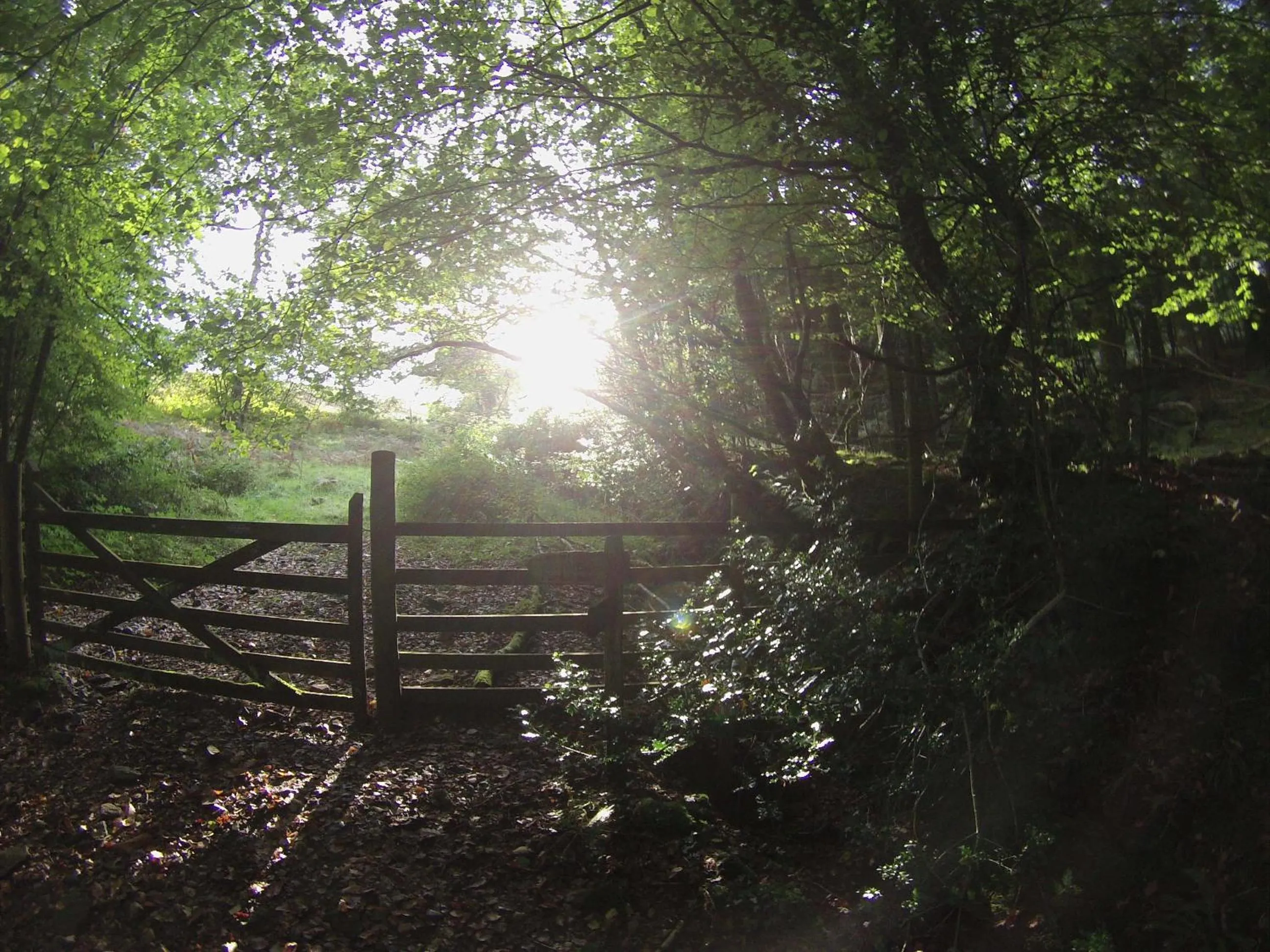 Area and facilities in Pyne Arms