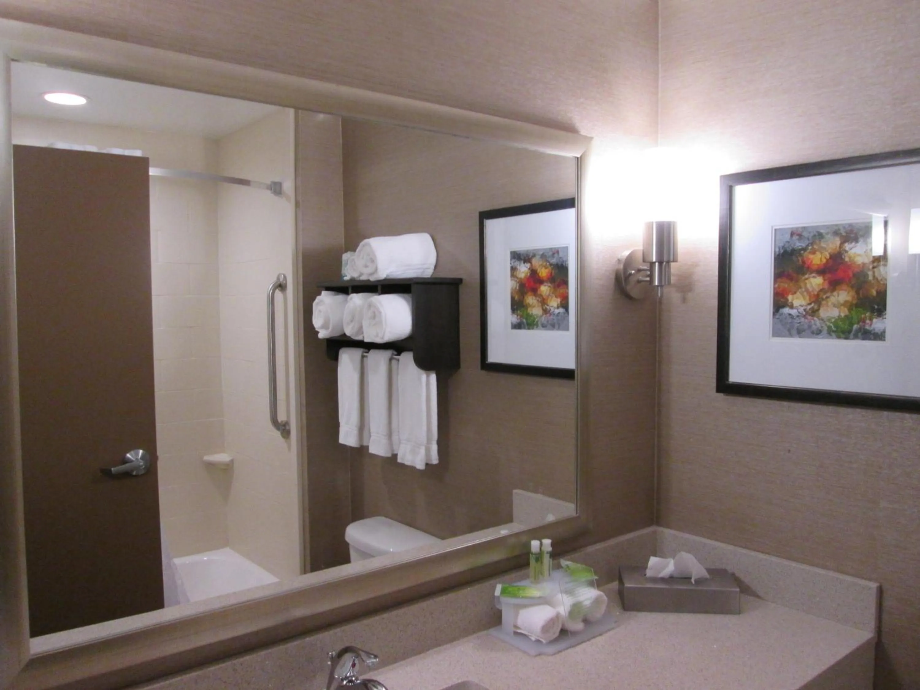 Bathroom in Holiday Inn Express Cloverdale - Greencastle by IHG