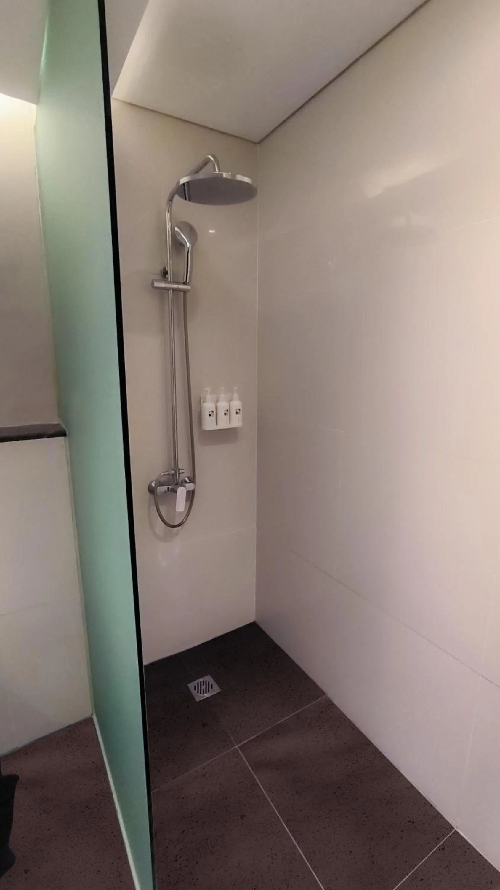 Shower in Swiss-Belhotel Bogor