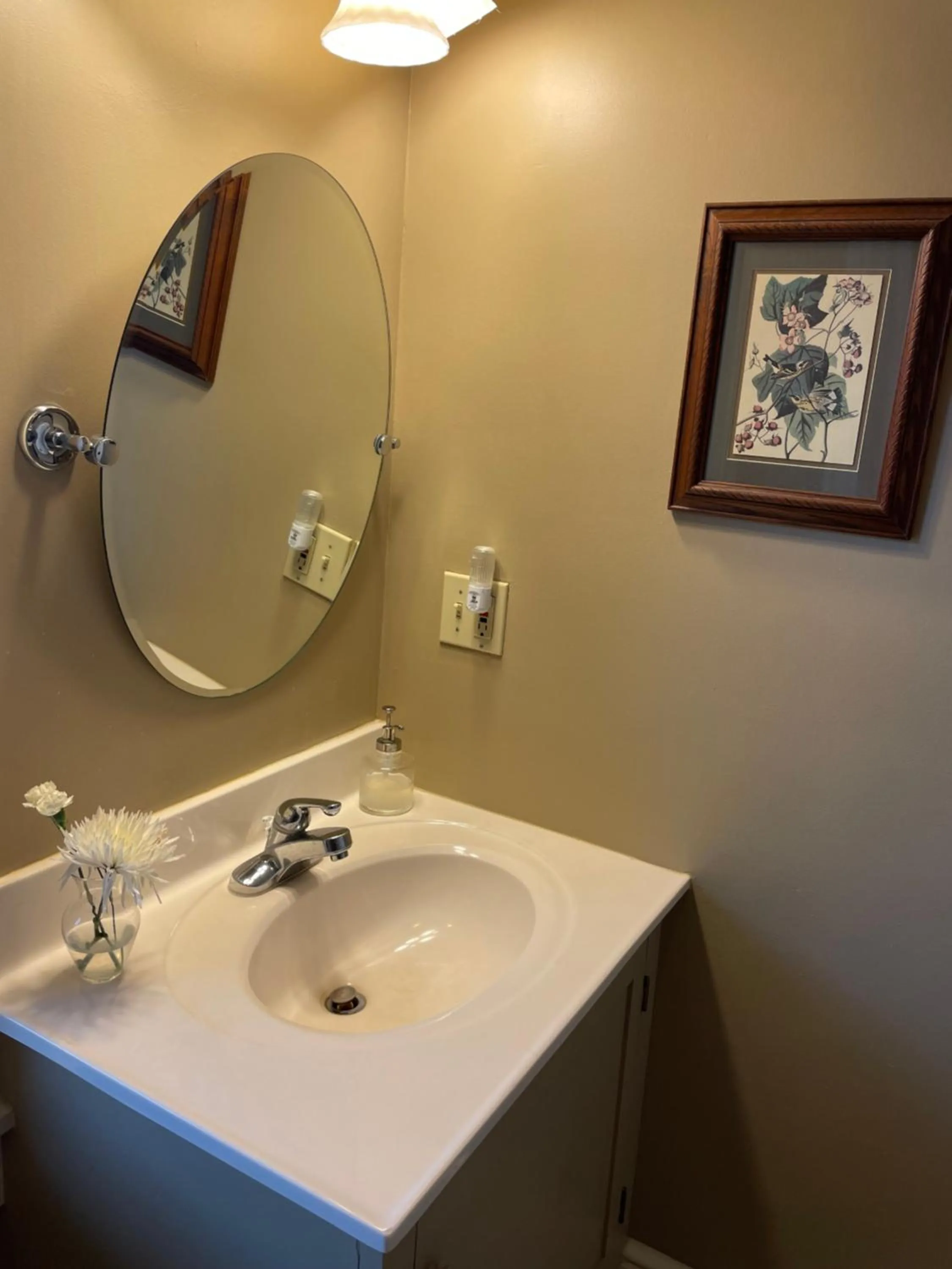 Bathroom in Hollinger House