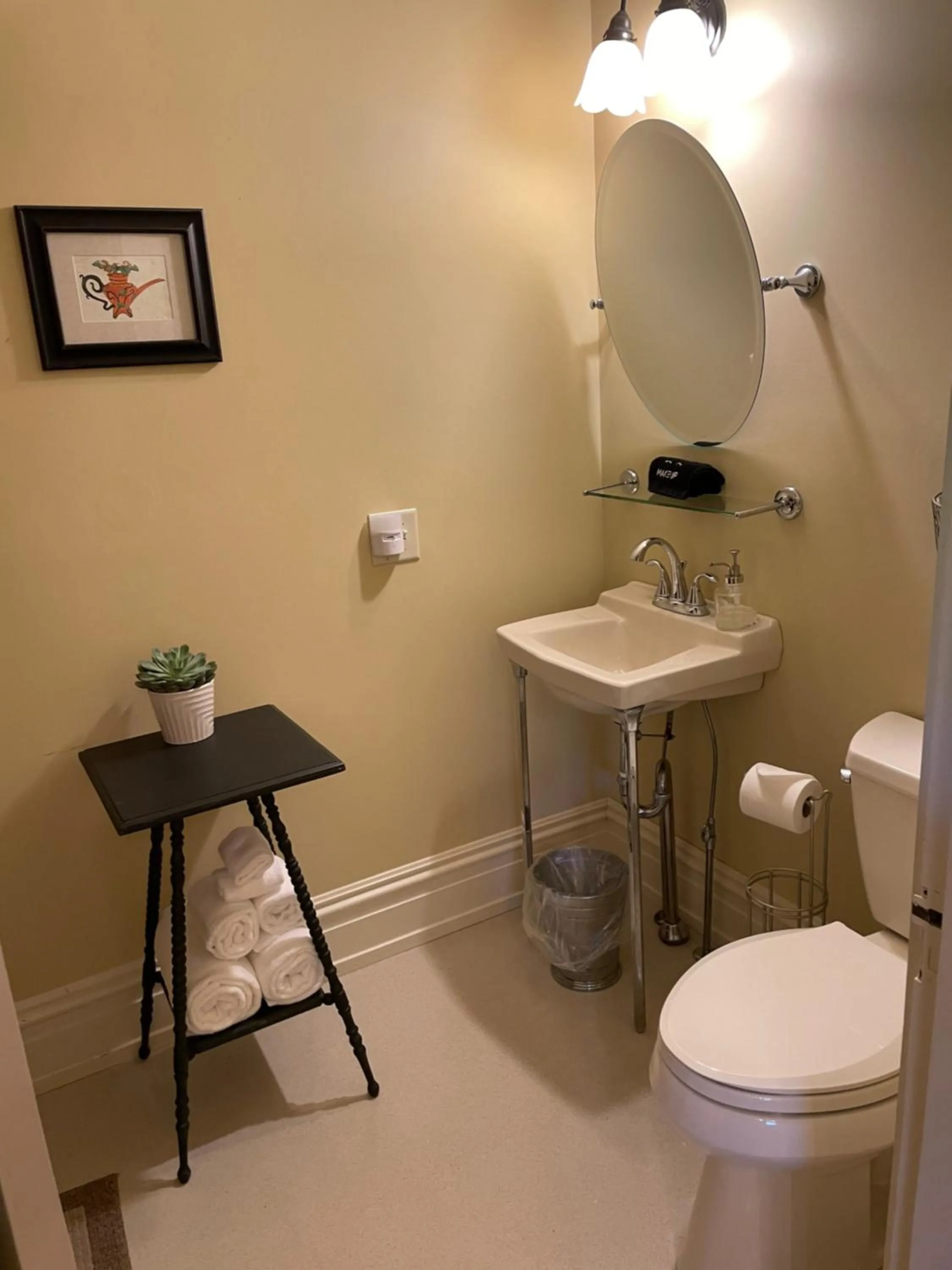 Toilet in Hollinger House