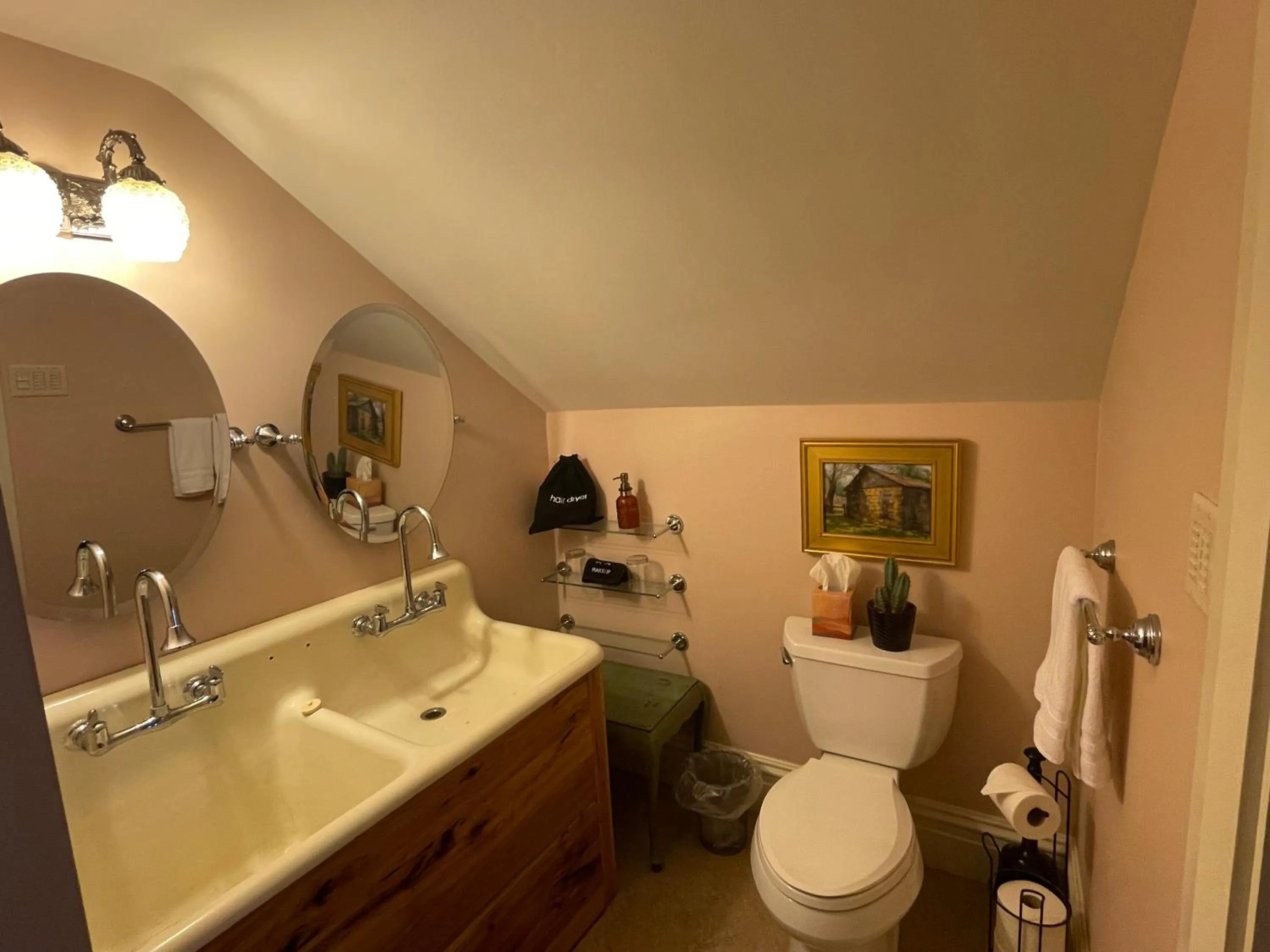 Toilet in Hollinger House