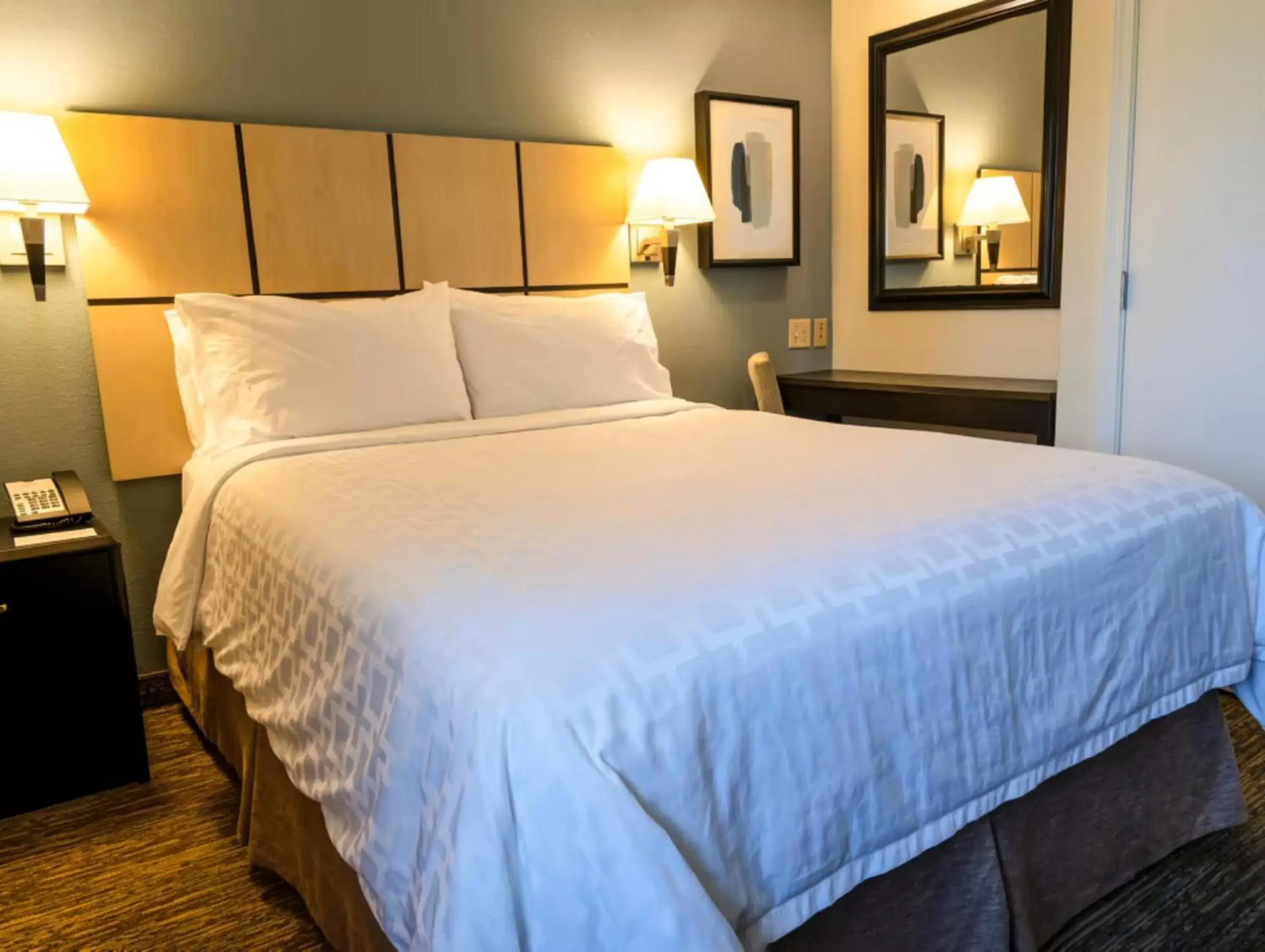Studio Suite in Candlewood Suites East Lansing by IHG Studio Suite in Candlewood Suites East Lansing by IHG