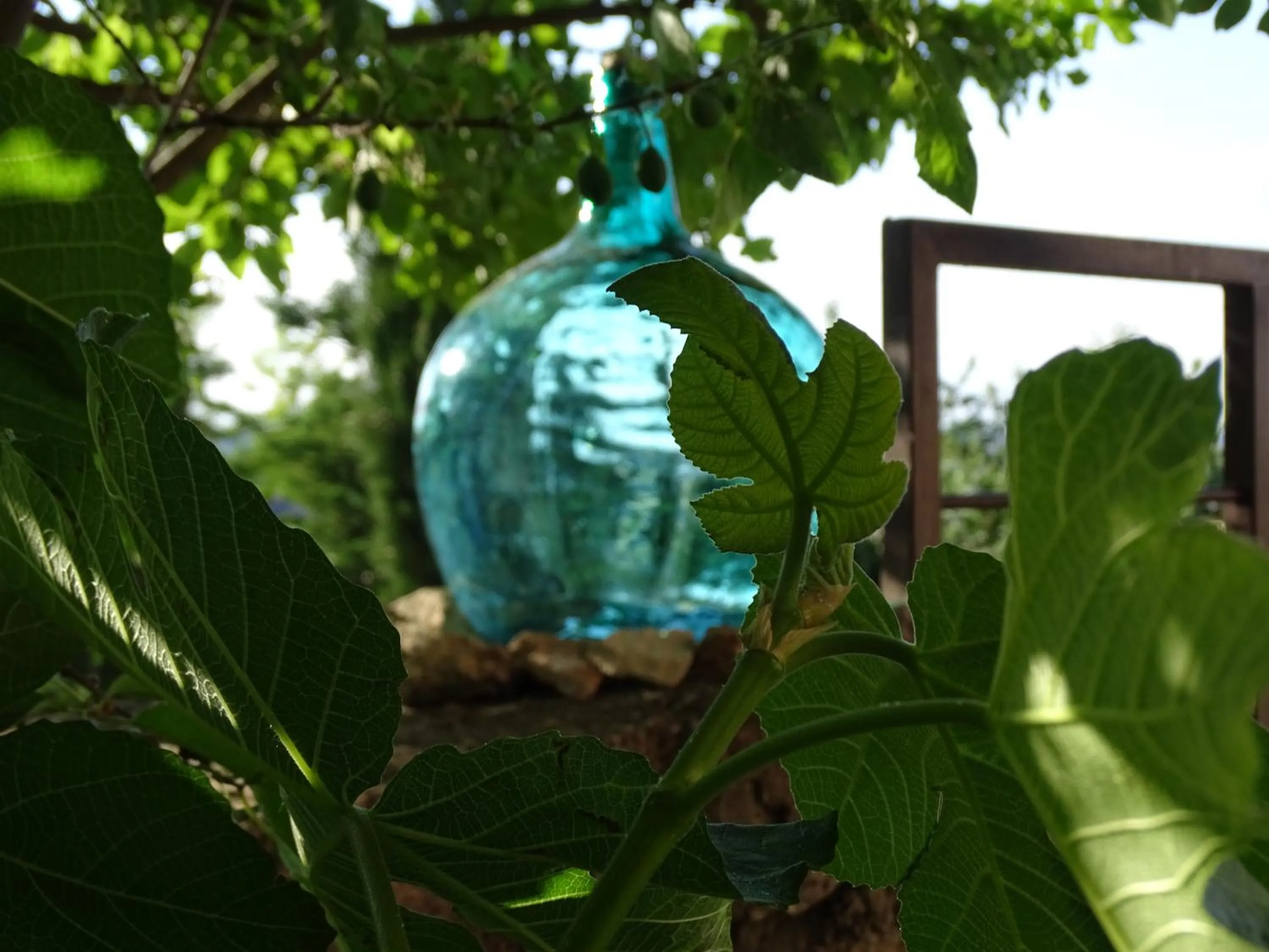 Property building in Hotel Cardamomo Sigüenza