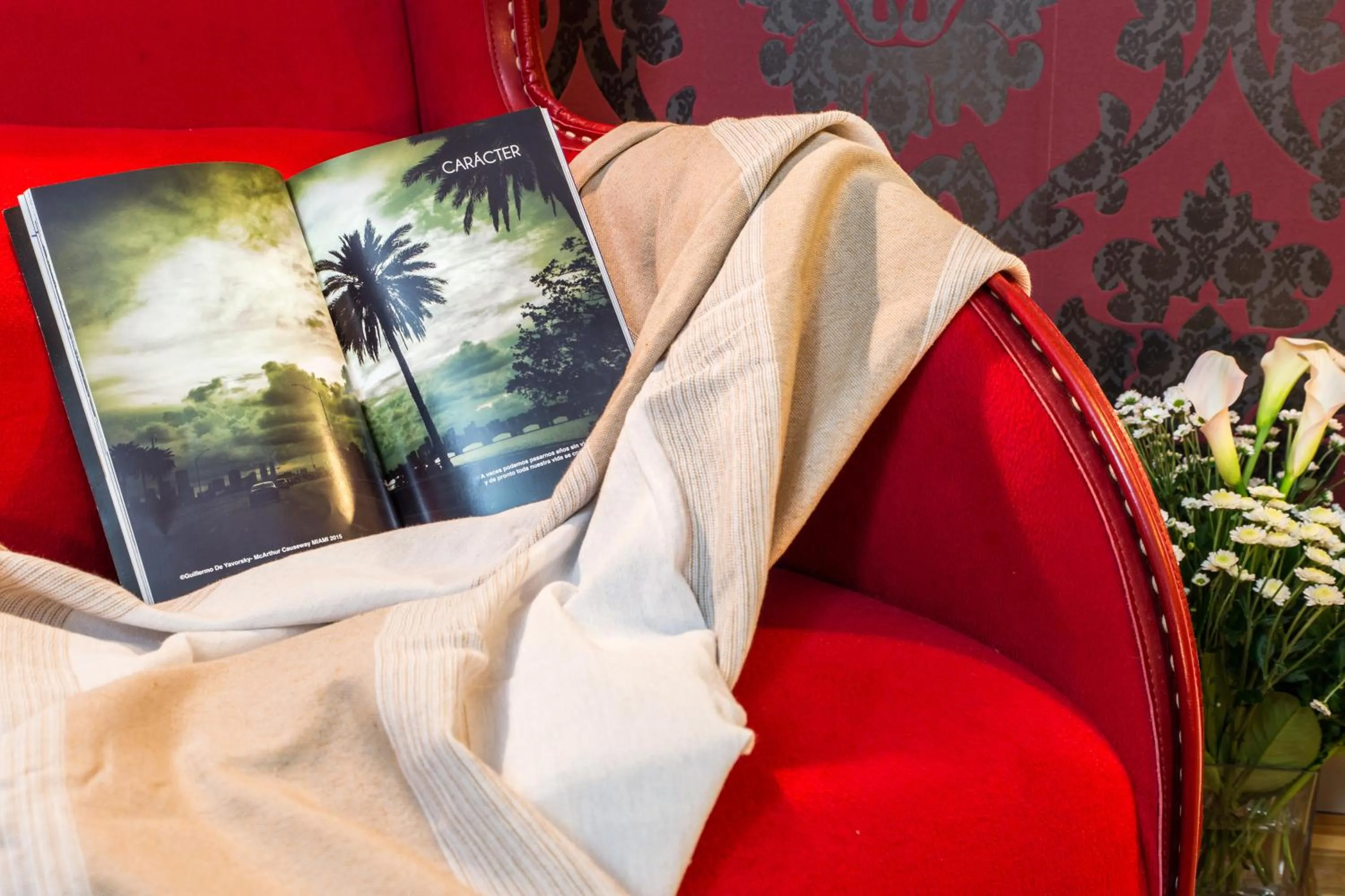 Area and facilities in Hotel Cardamomo Sigüenza