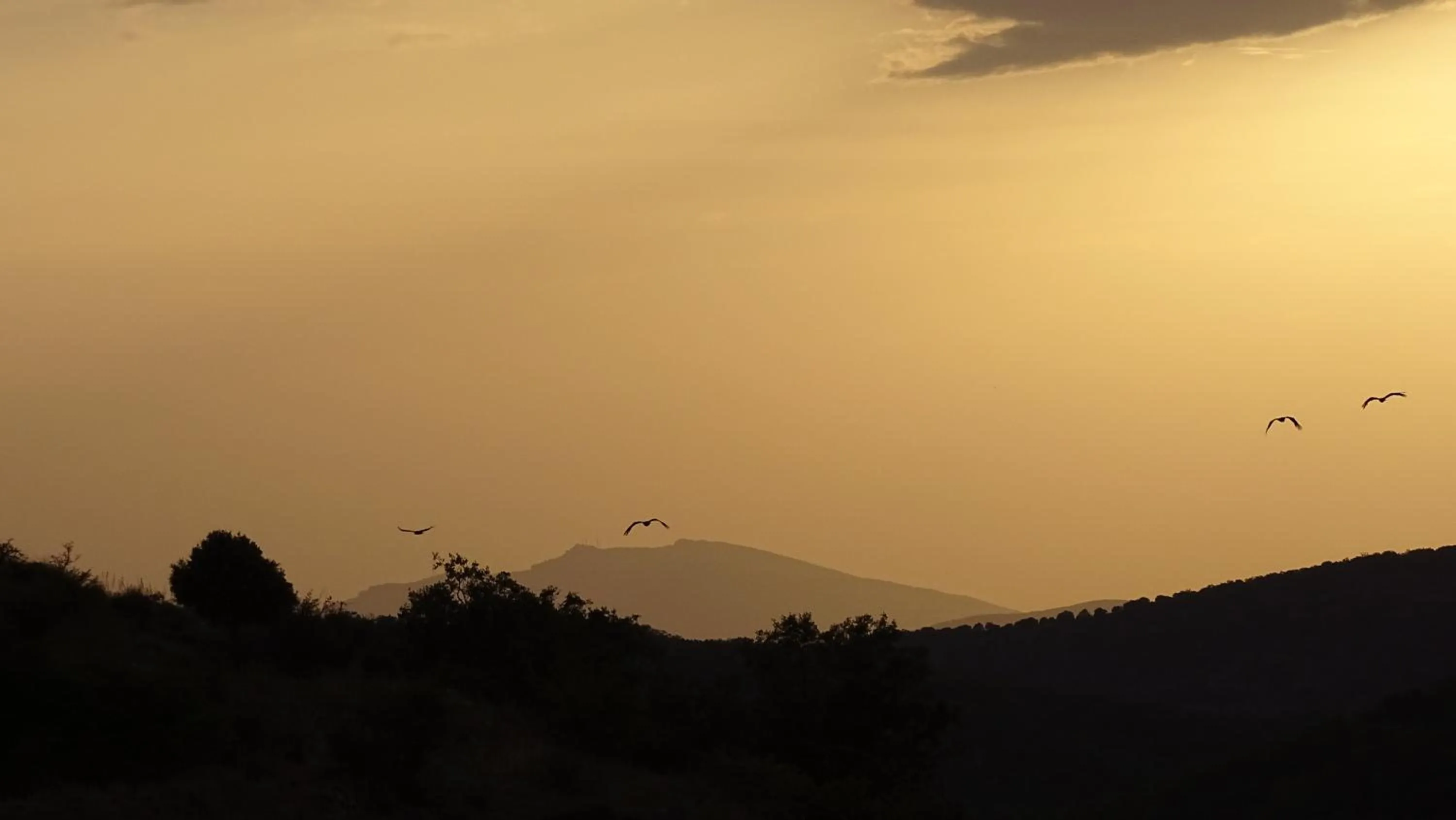 Property building in Hotel Cardamomo Sigüenza