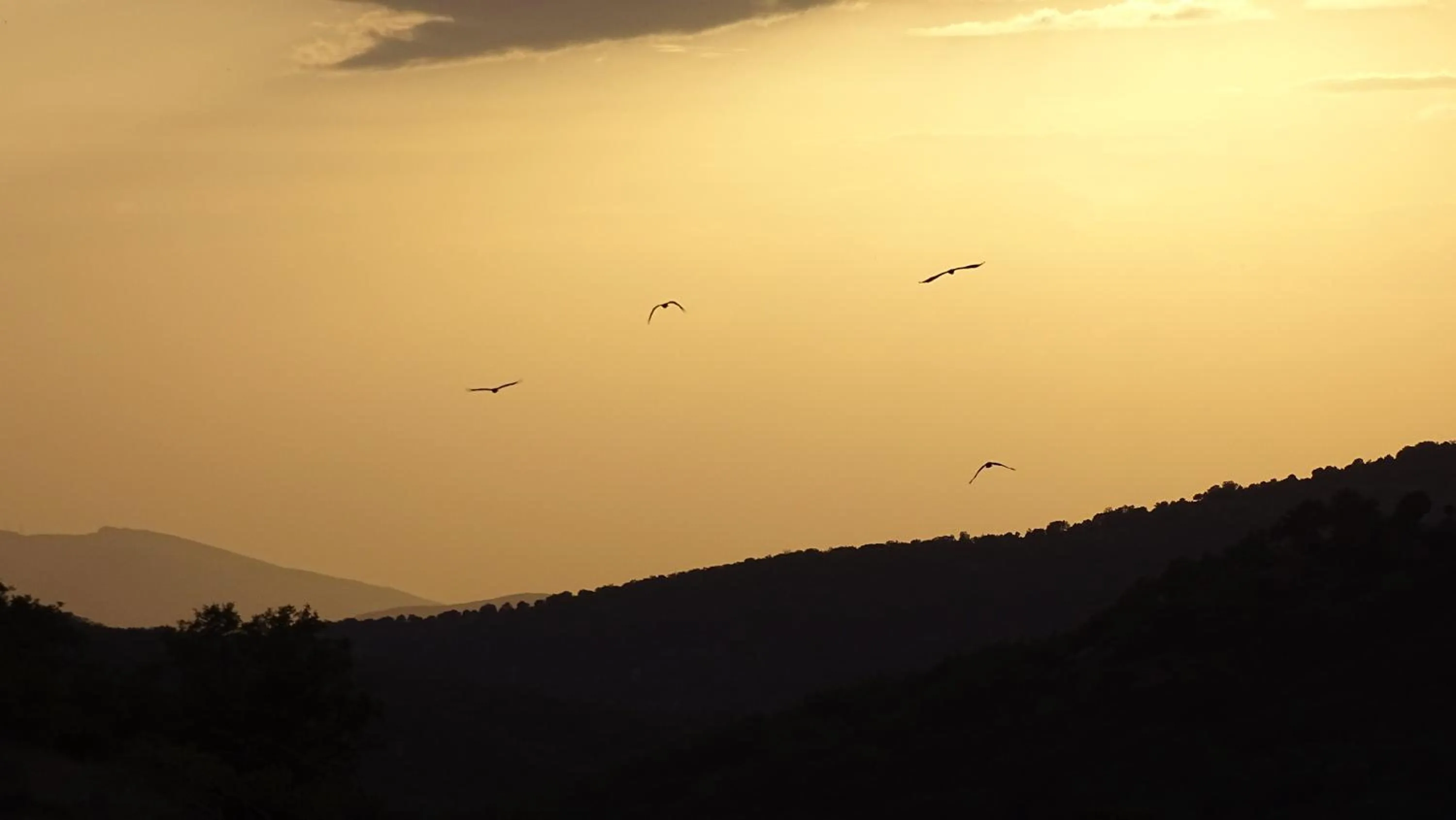 Property building in Hotel Cardamomo Sigüenza