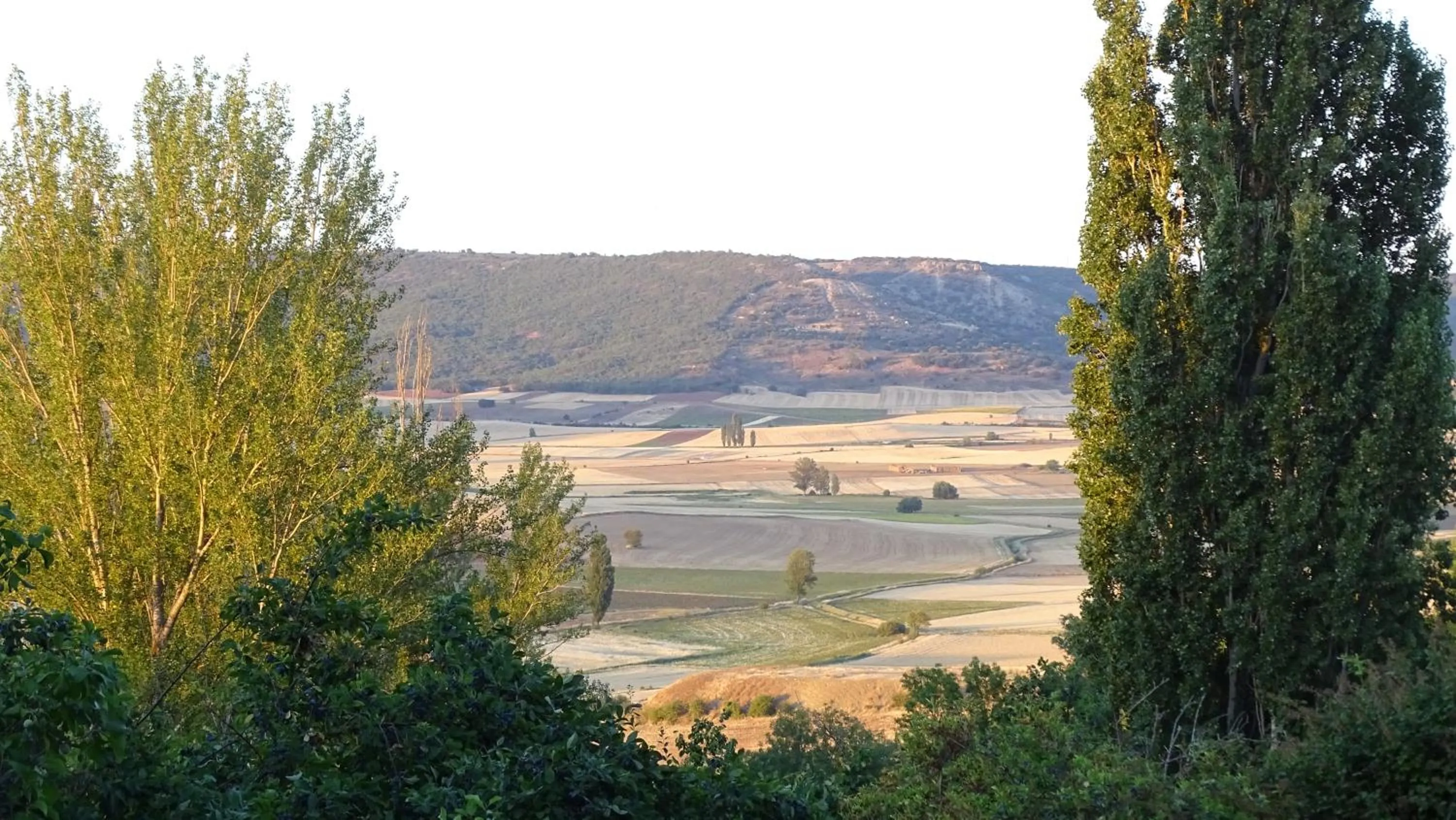 Property building in Hotel Cardamomo Sigüenza