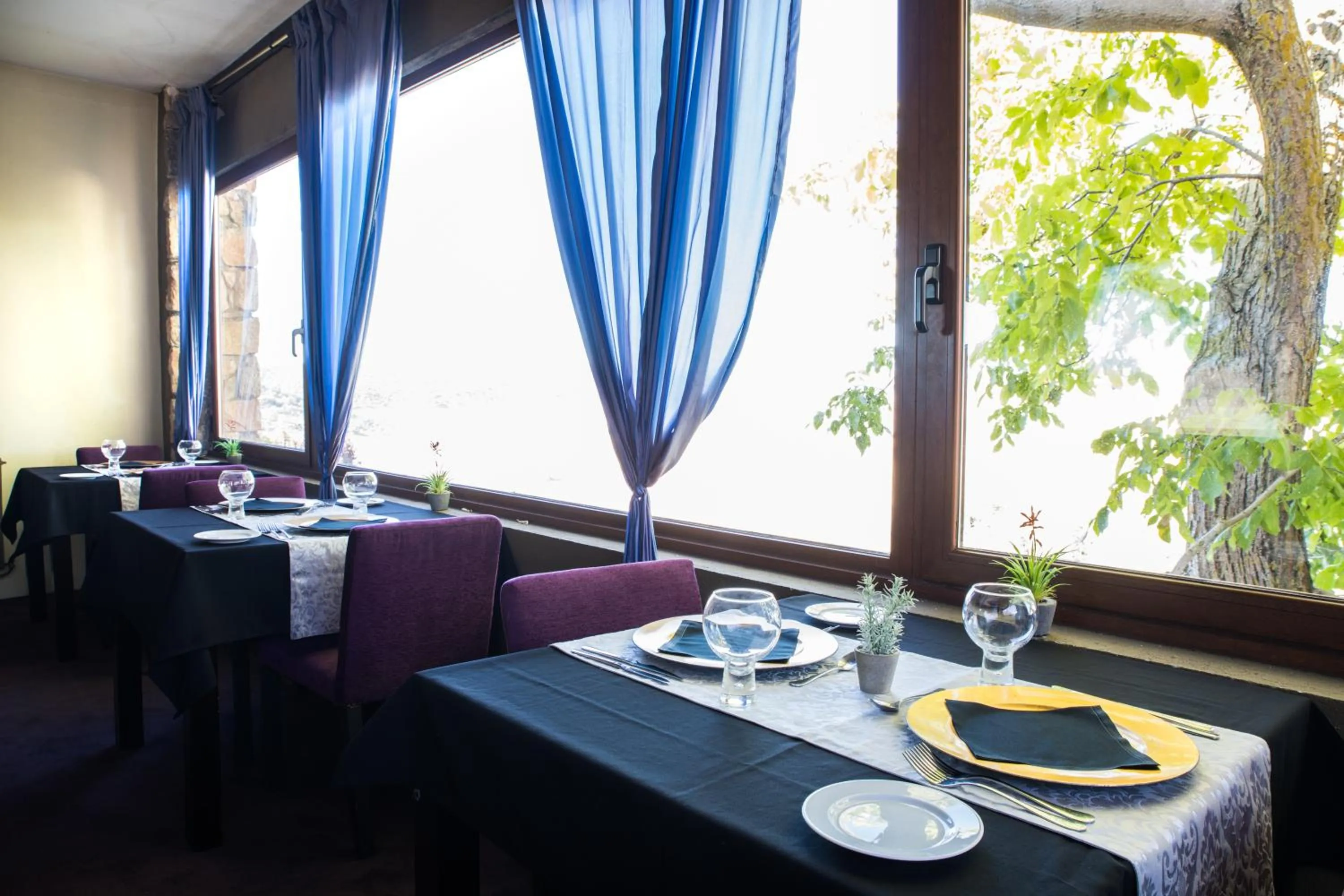 Restaurant/places to eat in Hotel Cardamomo Sigüenza