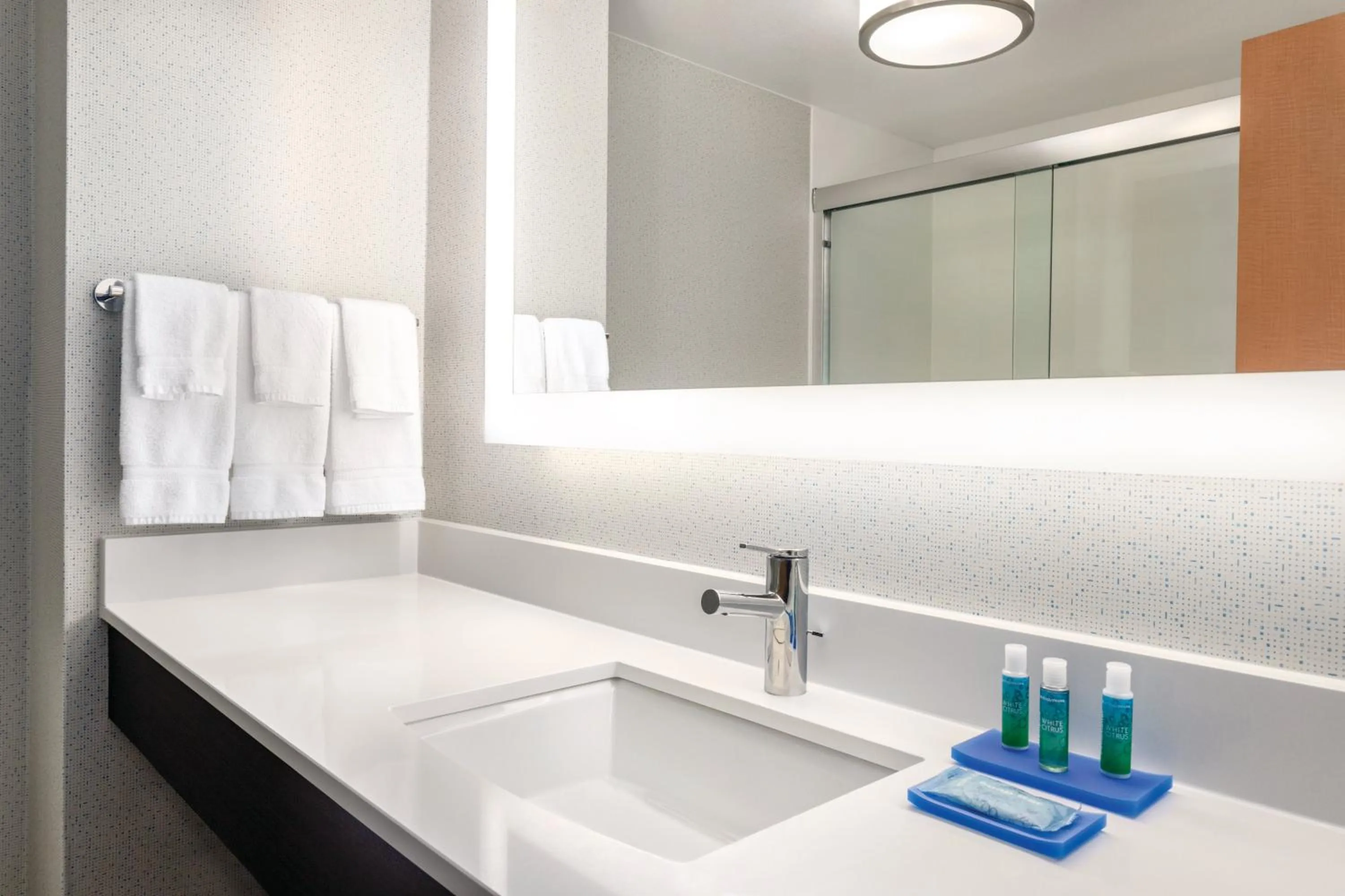 Bathroom in Holiday Inn Express Hotel & Suites Lawton-Fort Sill by IHG