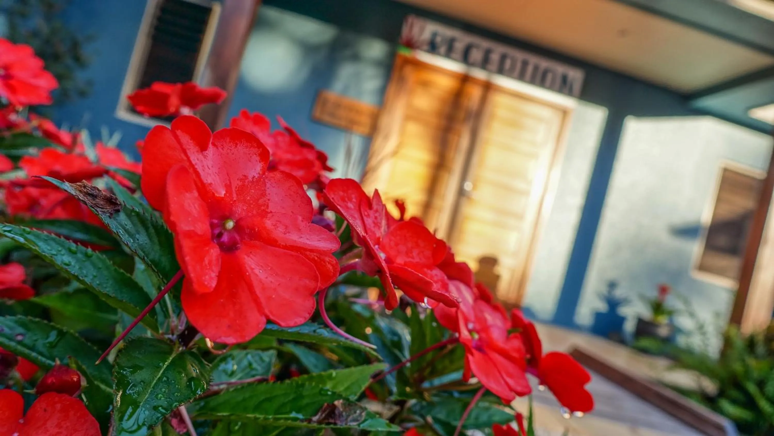 Decorative detail in Blue Summit Hideaway