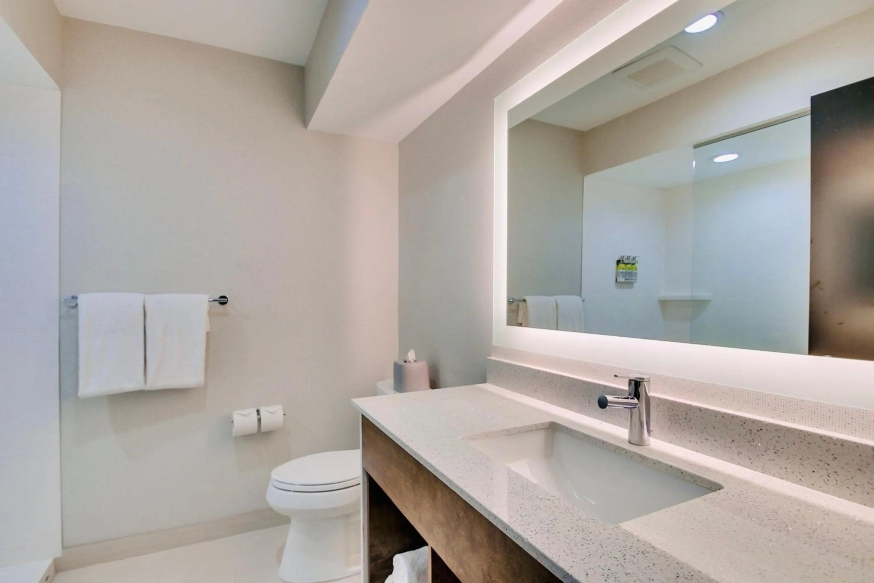 Shower in Holiday Inn Express Hotel & Suites Chester by IHG