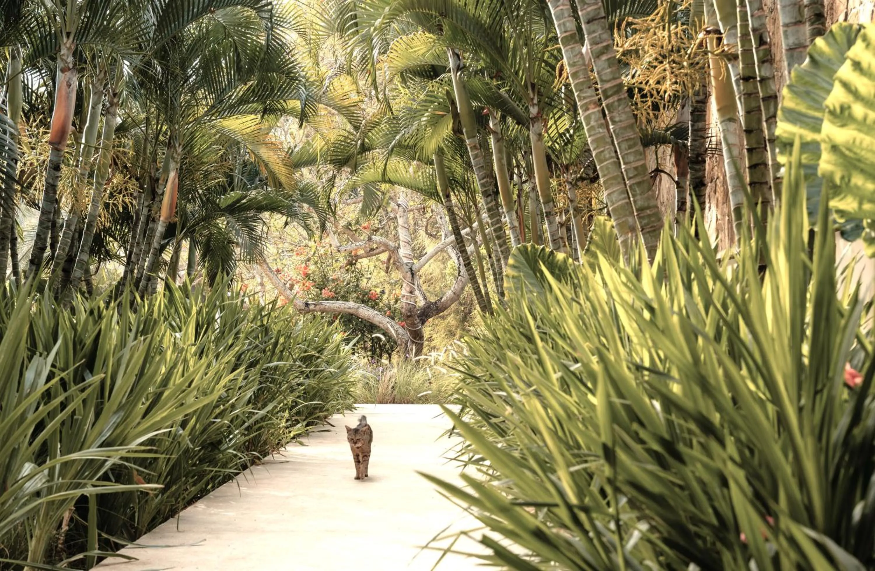 Facade/entrance in Origin Lombok