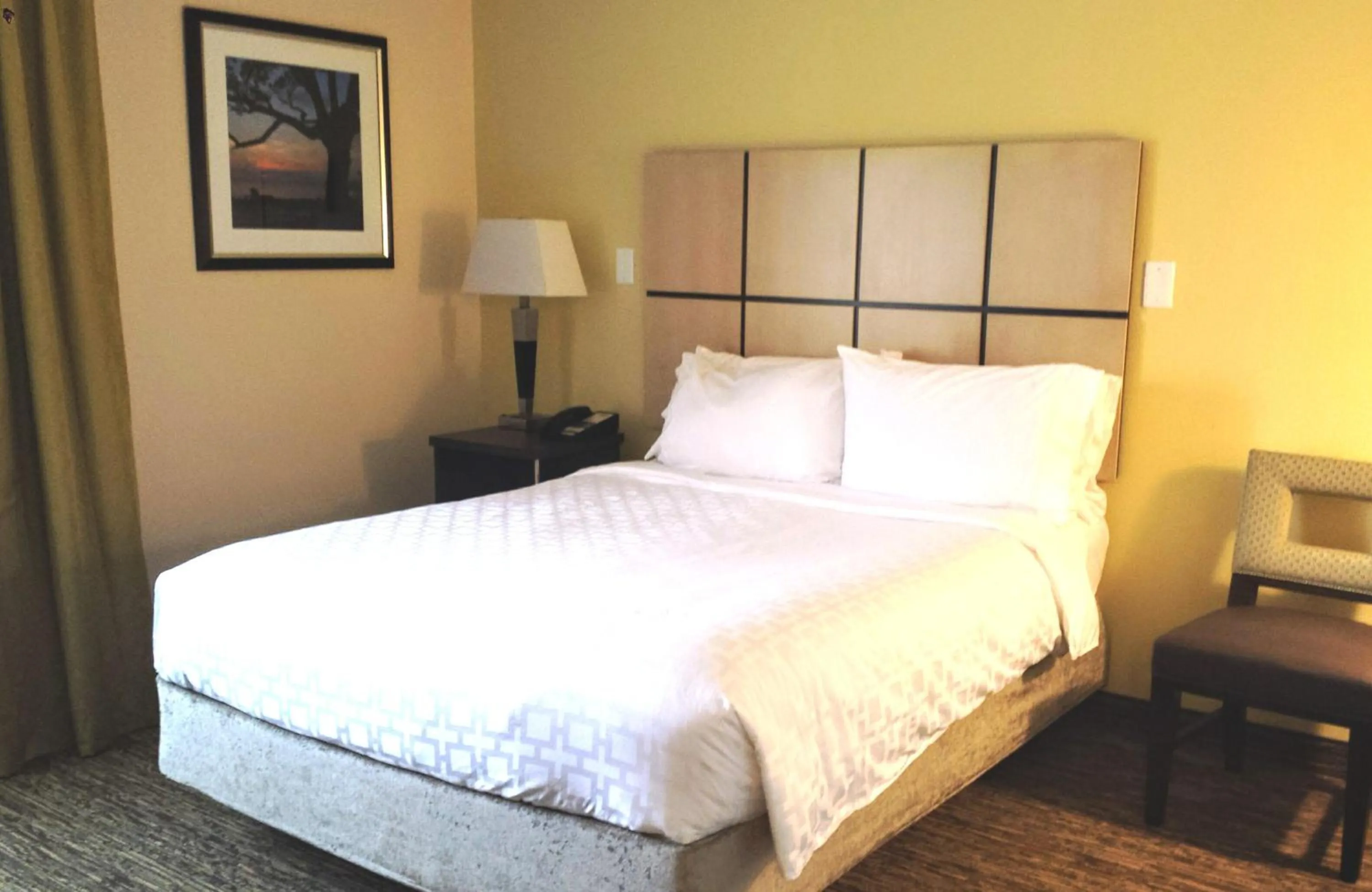 Photo of the whole room, Bed in Candlewood Suites Greenville NC by IHG