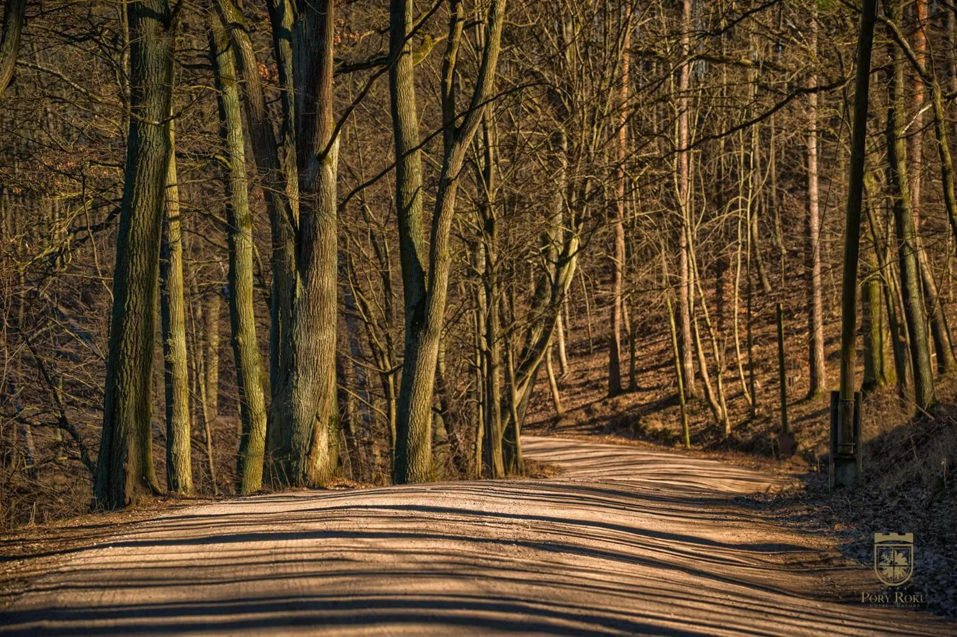 Natural landscape in Hotel Pory Roku
