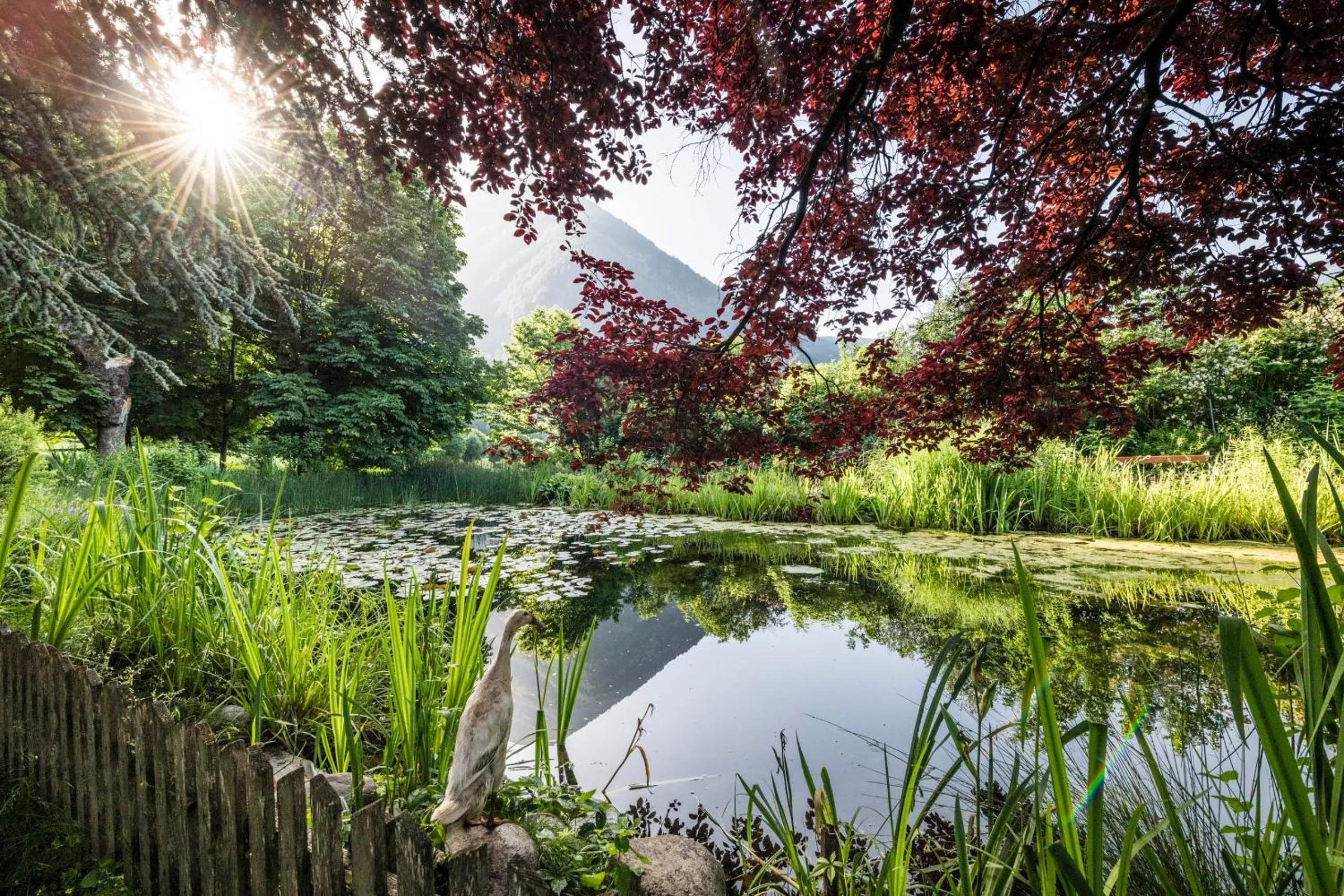 Natural landscape in Romantik Hotel & Restaurant Stafler