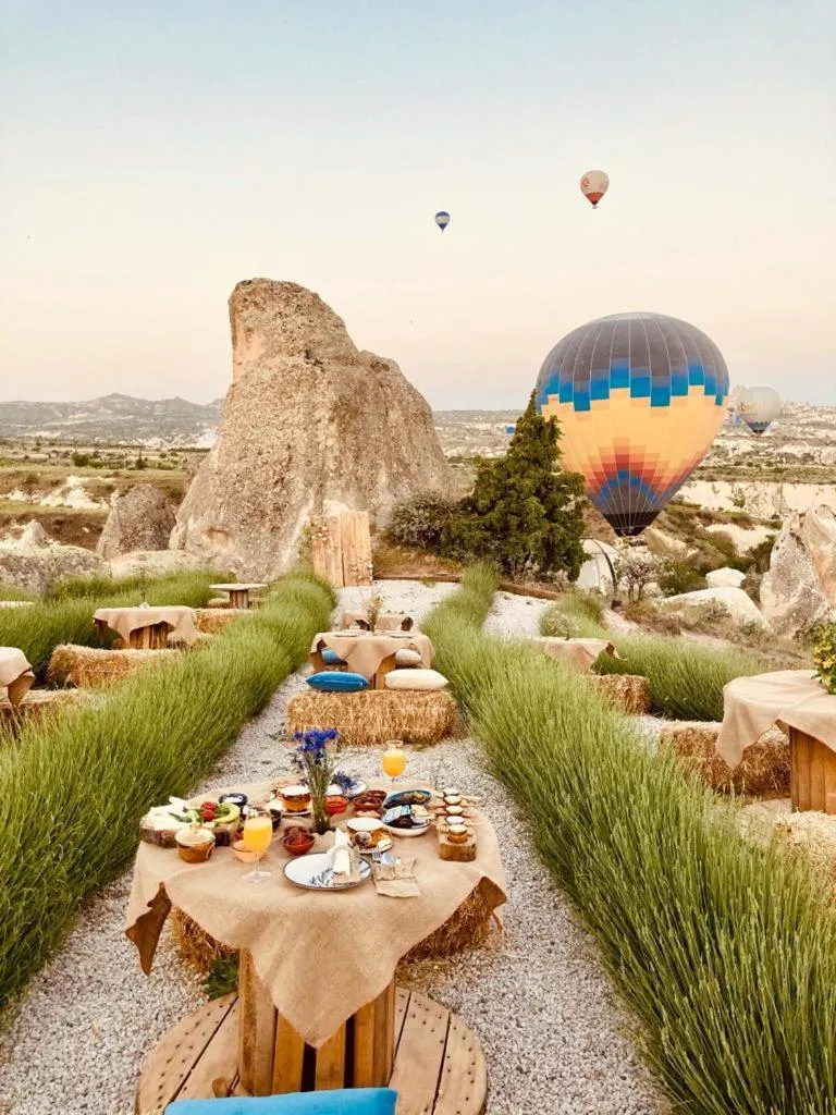 Activities in Wish Cappadocia Love