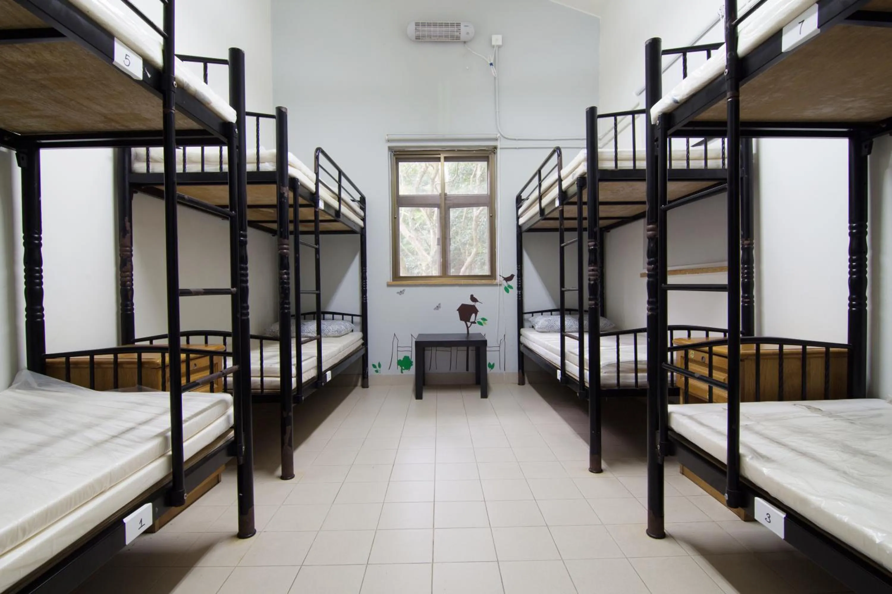 Bed in YHA Ngong Ping SG Davis Youth Hostel