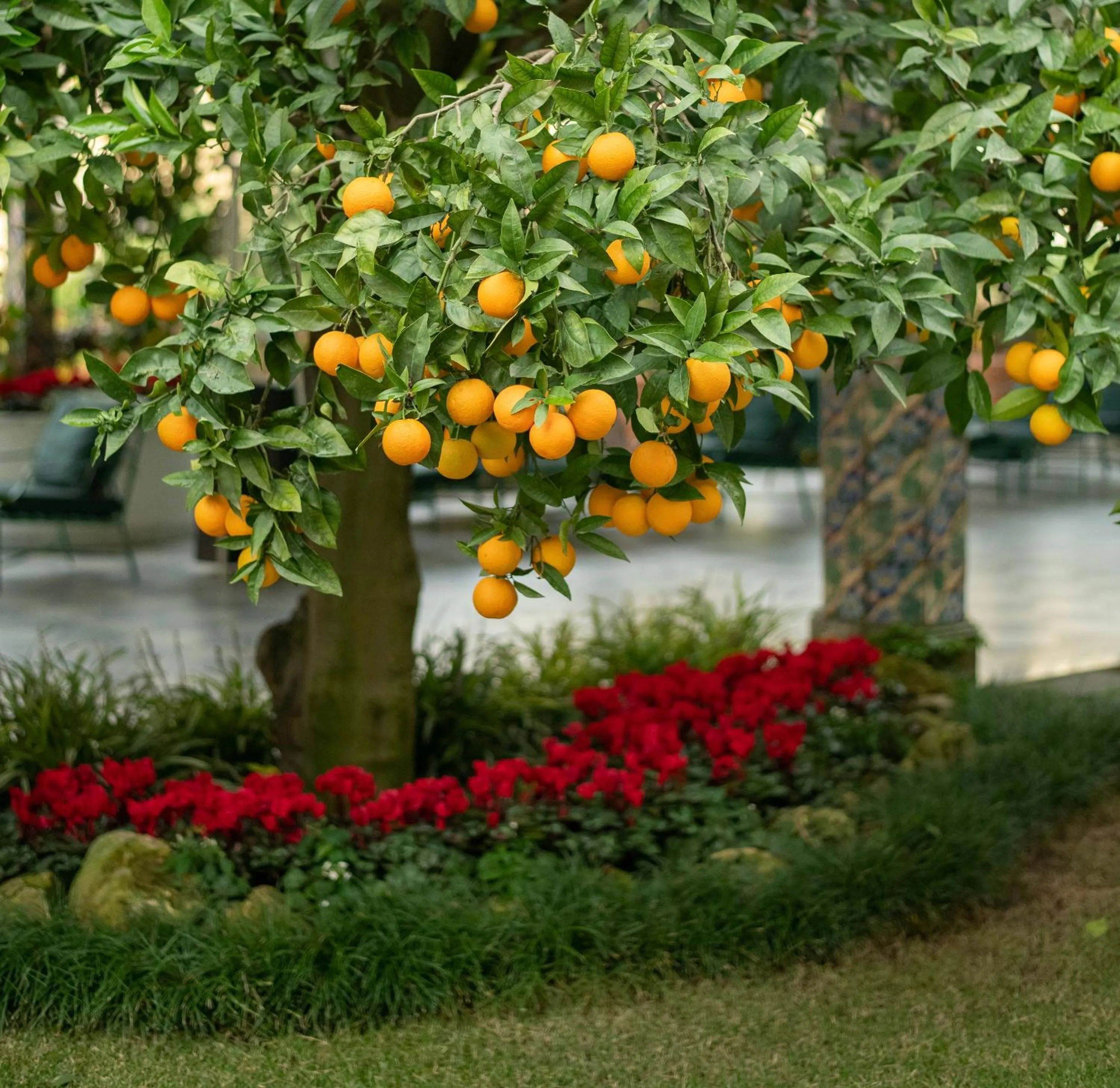 Grand Hotel La Favorita