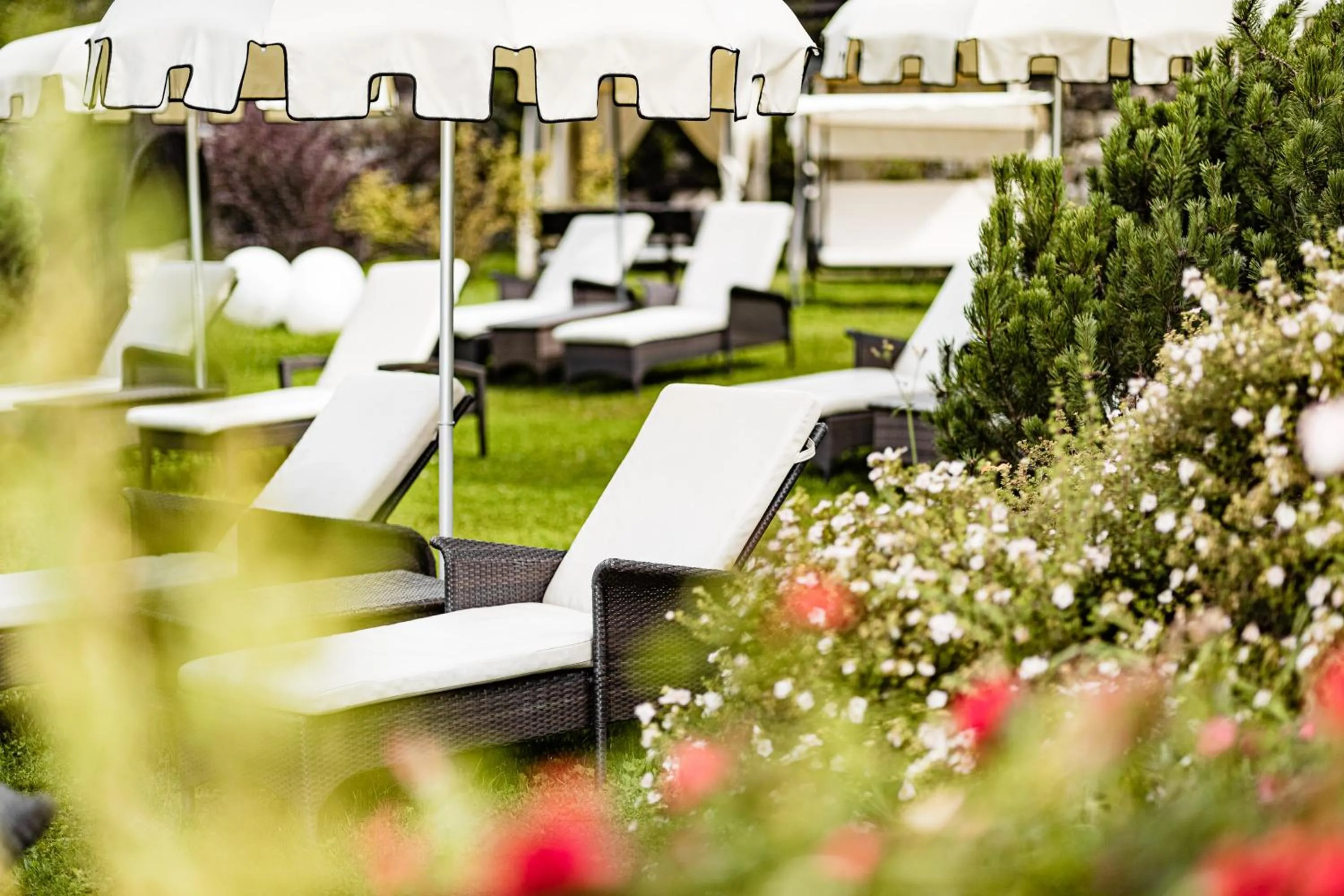 Garden in Boutique & Fashion Hotel Maciaconi - Gardenahotels