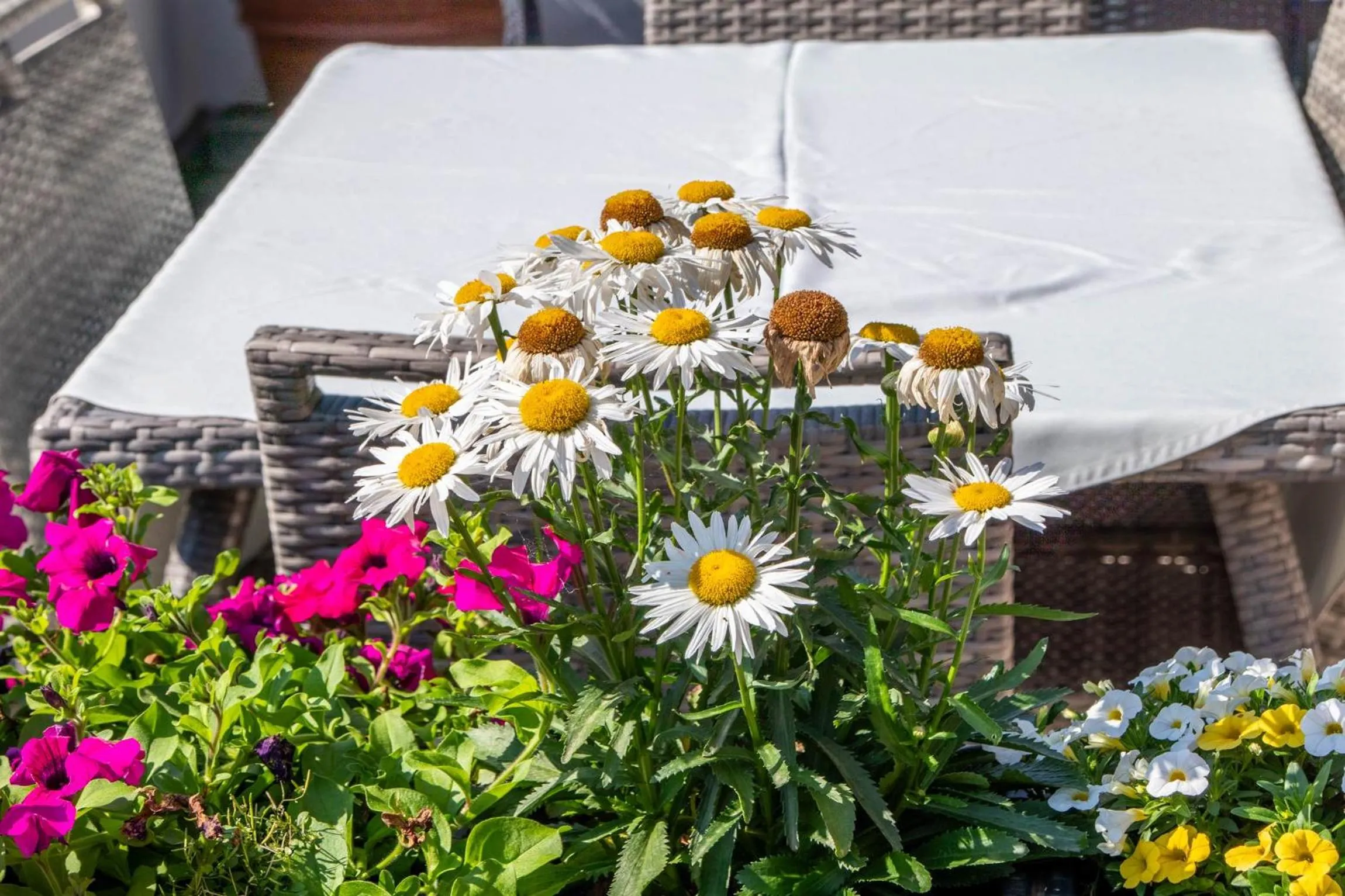 Balcony/Terrace in Hotel St. Pankraz