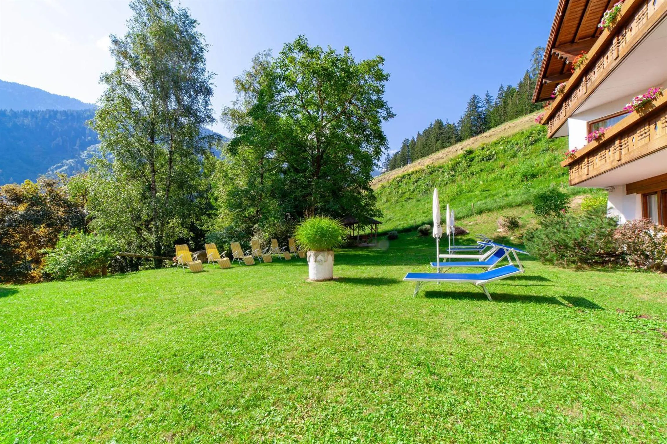Natural landscape in Hotel St. Pankraz