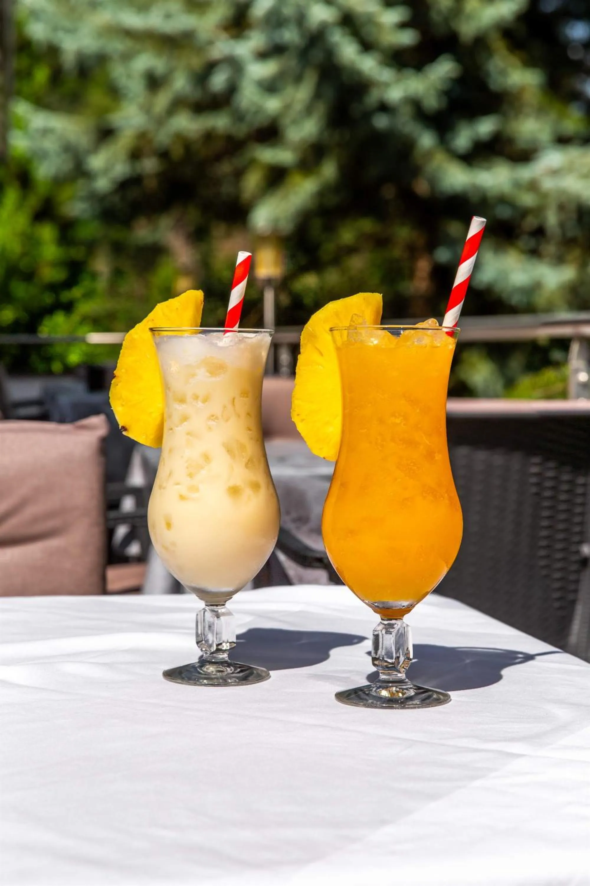 Drinks in Hotel St. Pankraz