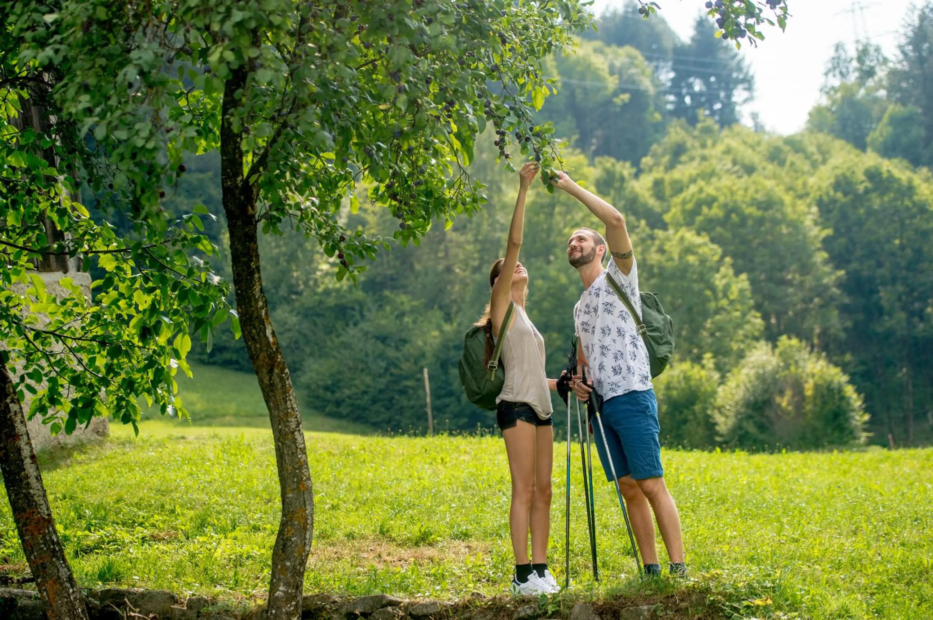 Hiking in Tevini Dolomites Charming Hotel
