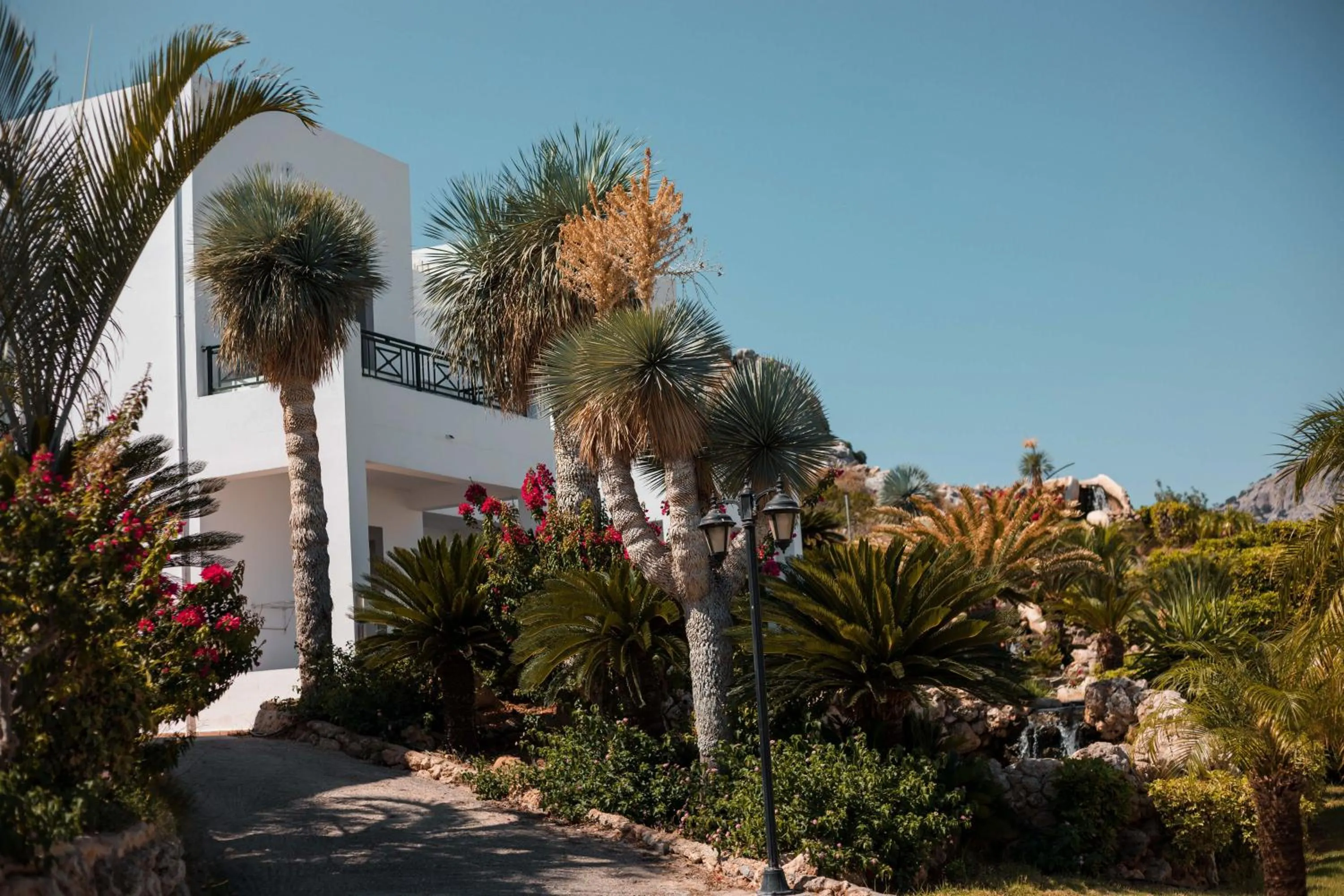 Garden in Lambis Studios & Apartments