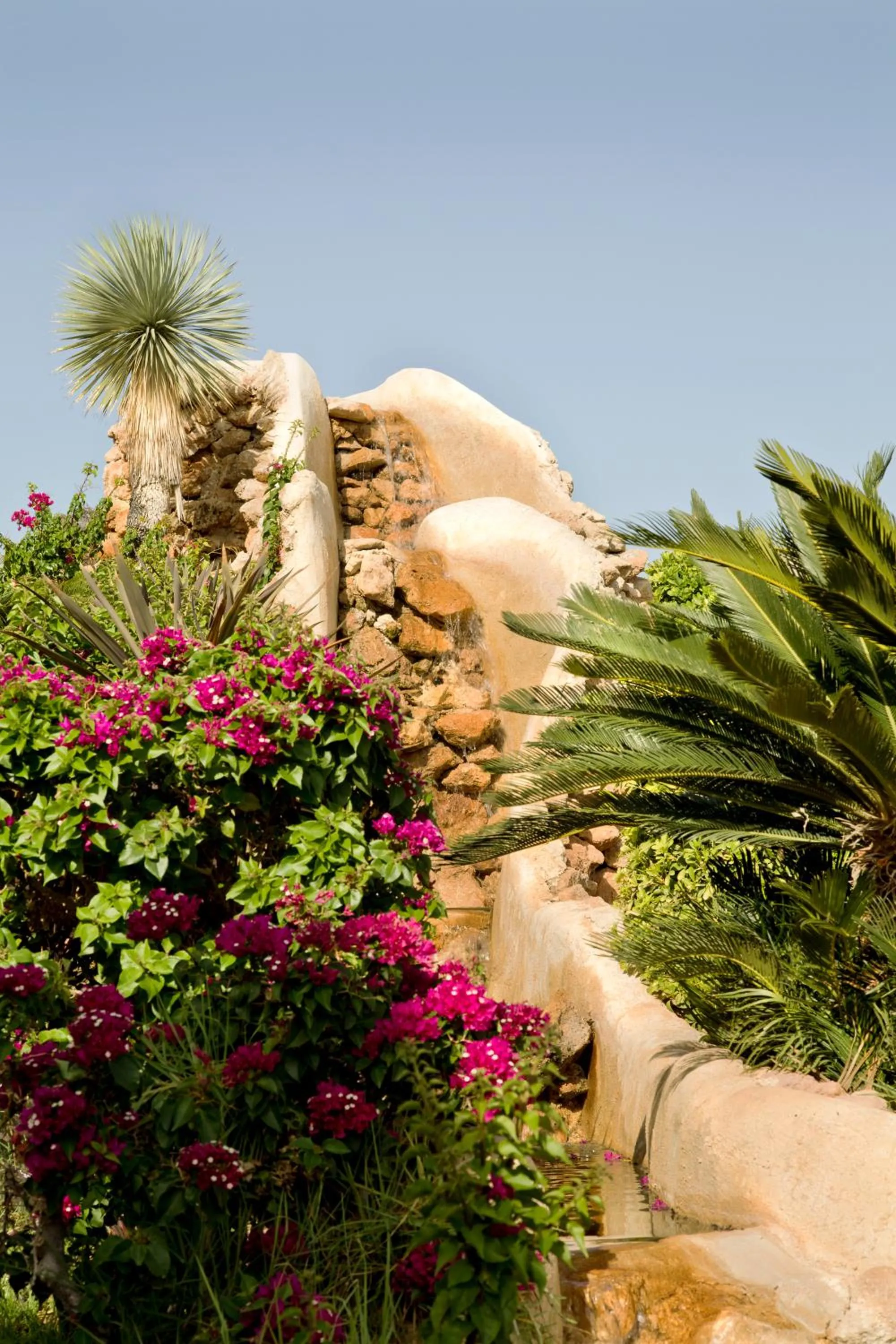 Garden in Lambis Studios & Apartments