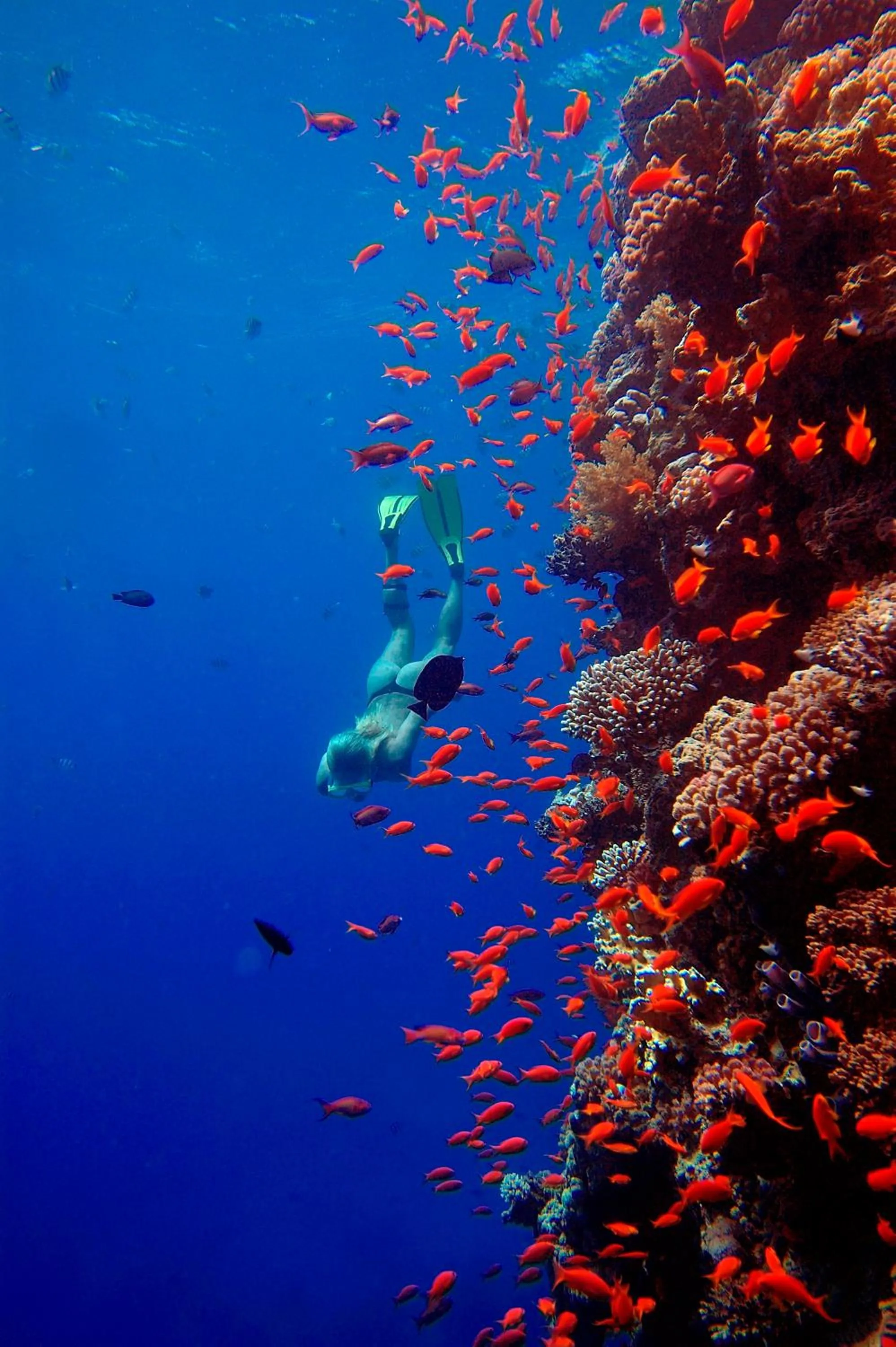 Natural landscape in The Breakers Diving and Surfing Lodge Soma Bay