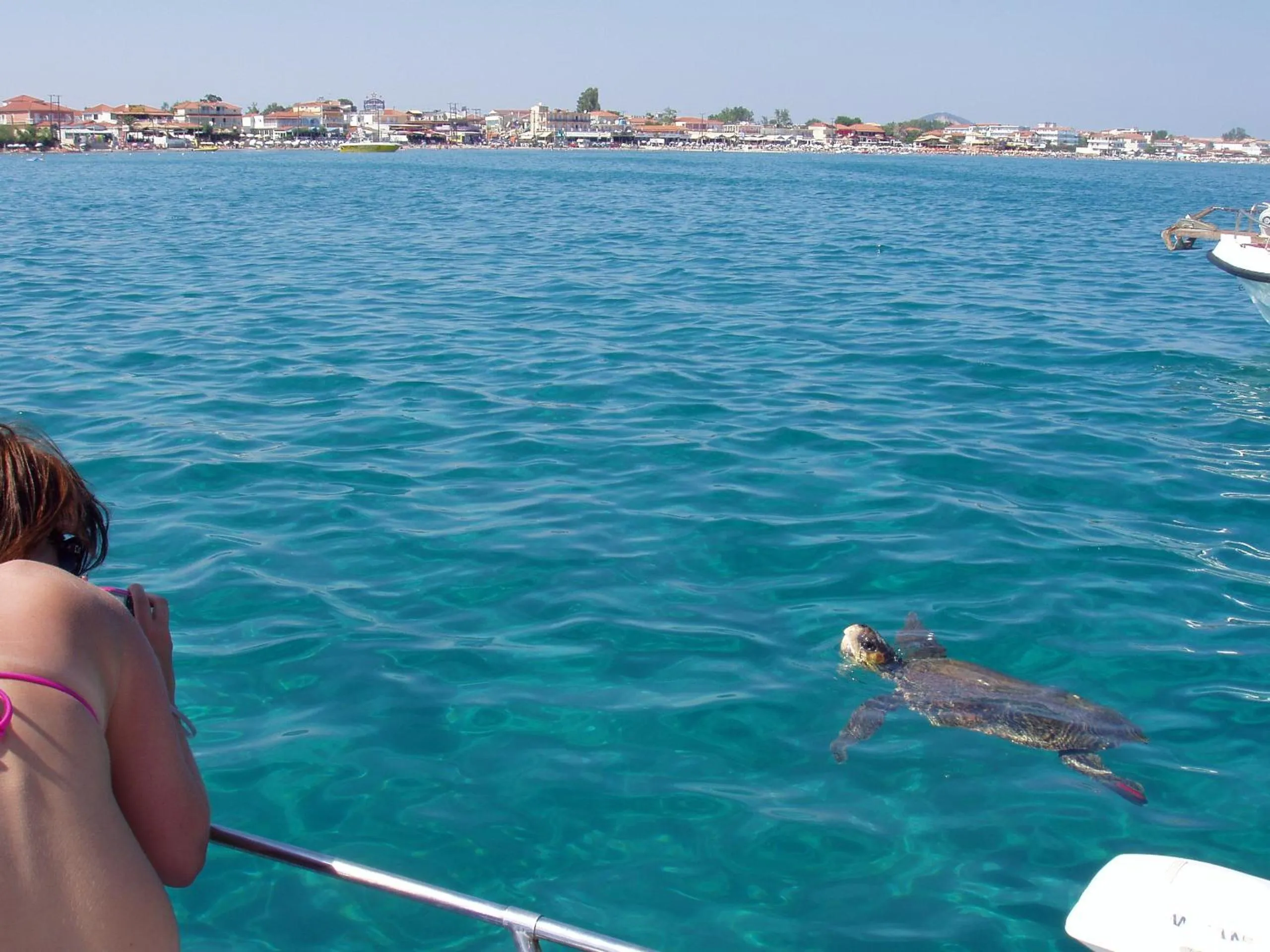 Activities in Paradise Apartments