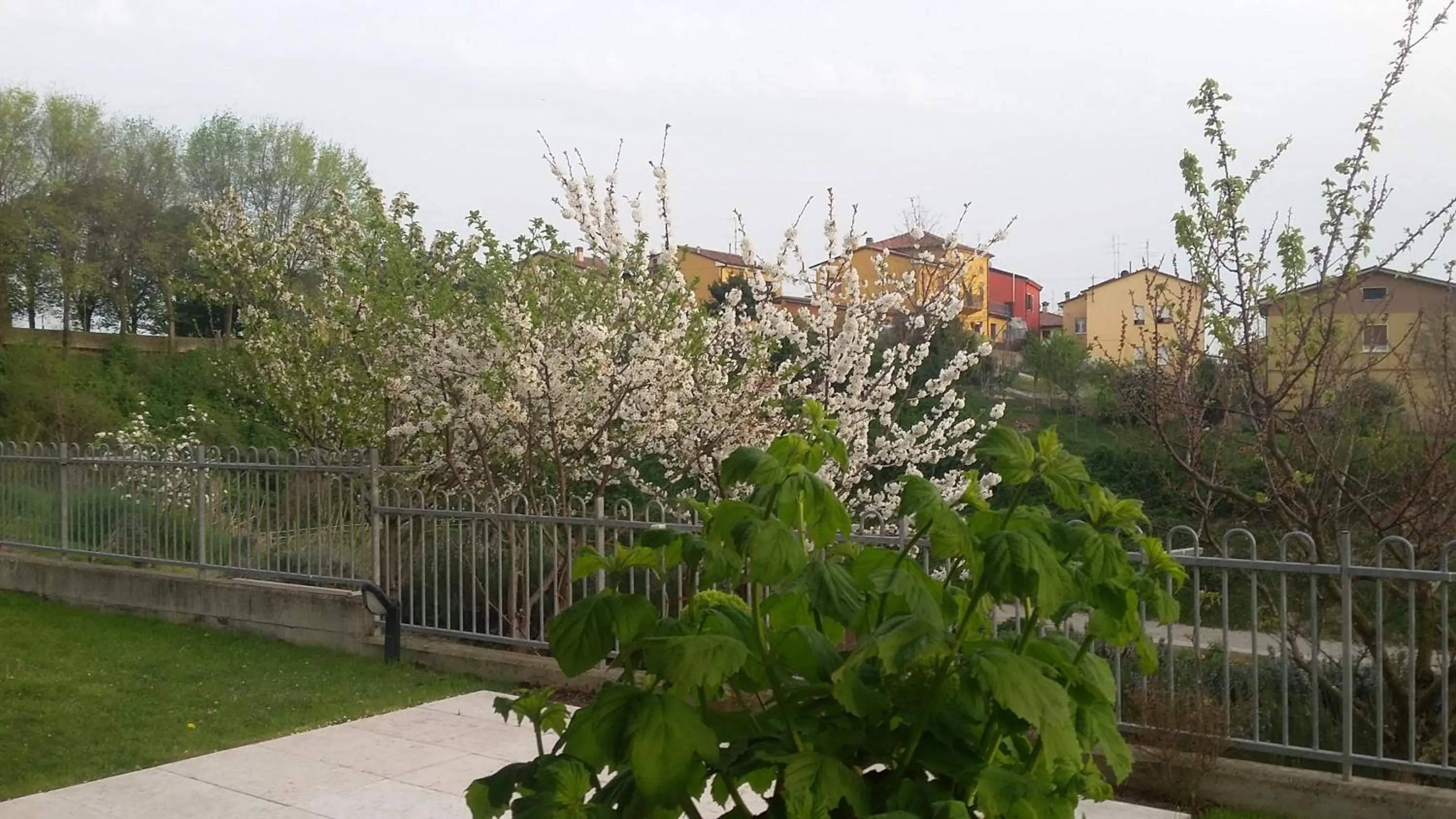 Garden in Residenza Leon