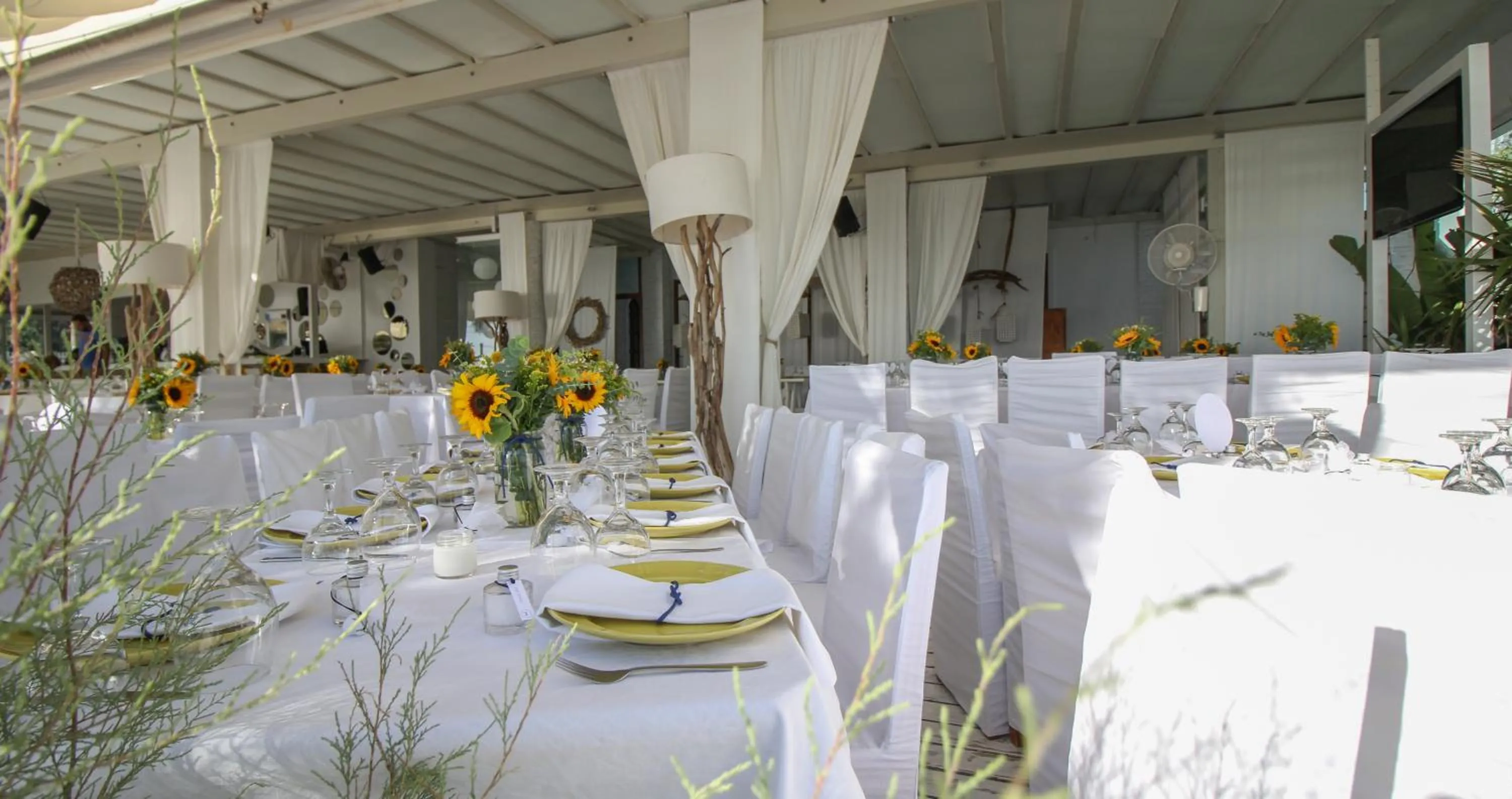 Restaurant/places to eat in Santana Beach