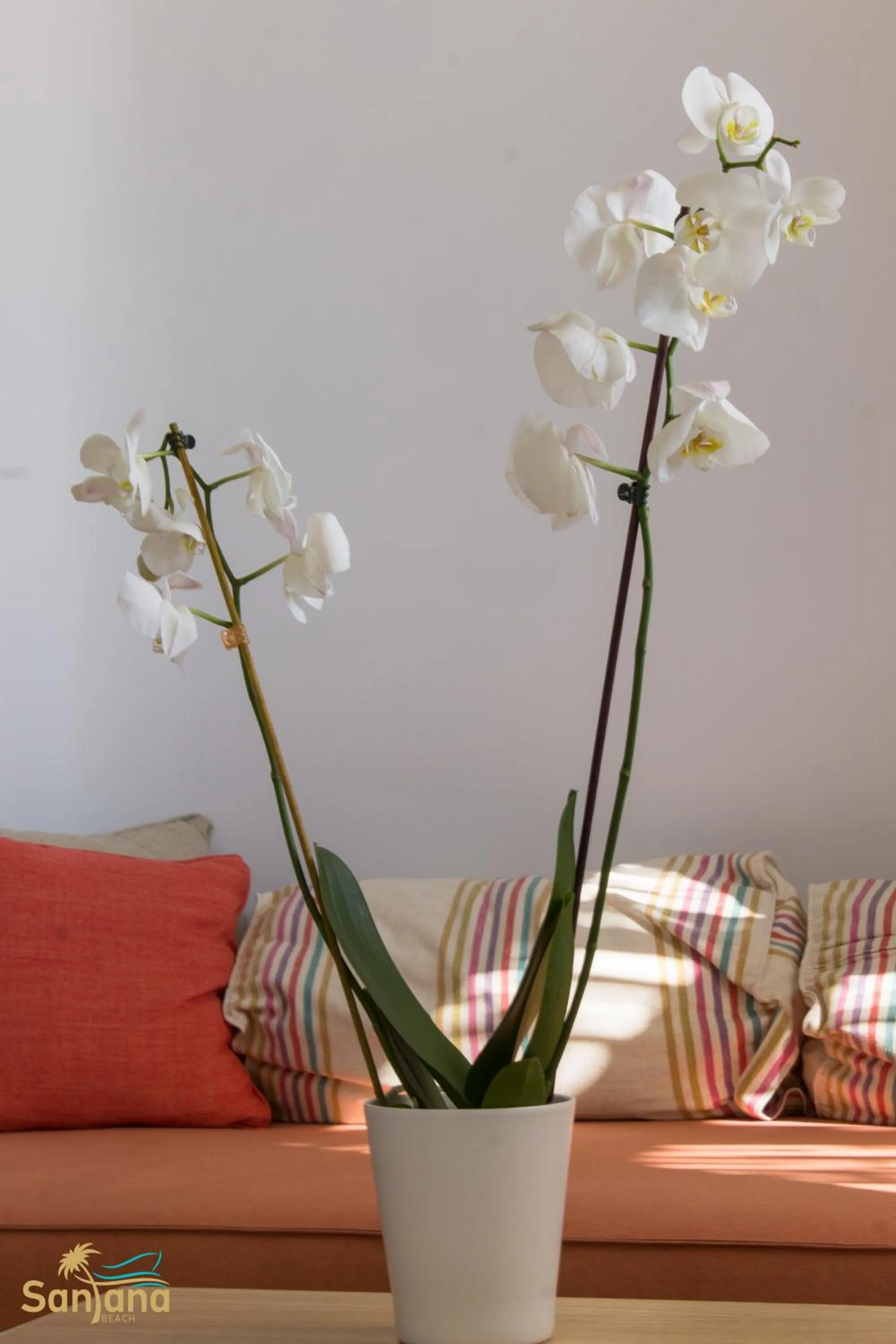 Decorative detail in Santana Beach