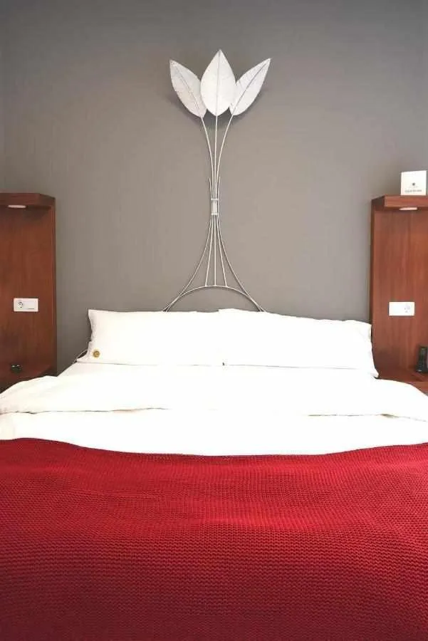 Delmás Hotel Emblemático