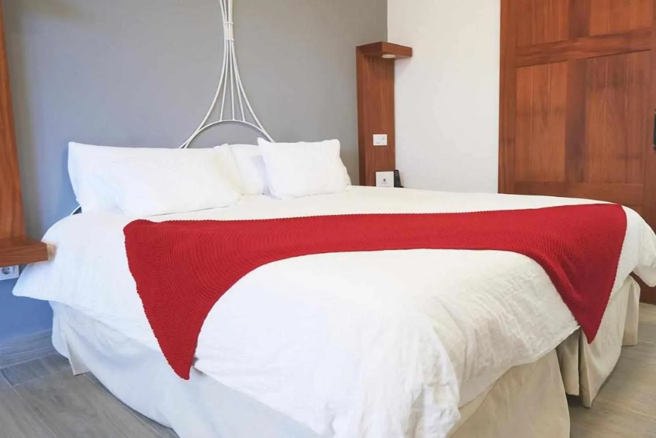 Delmás Hotel Emblemático