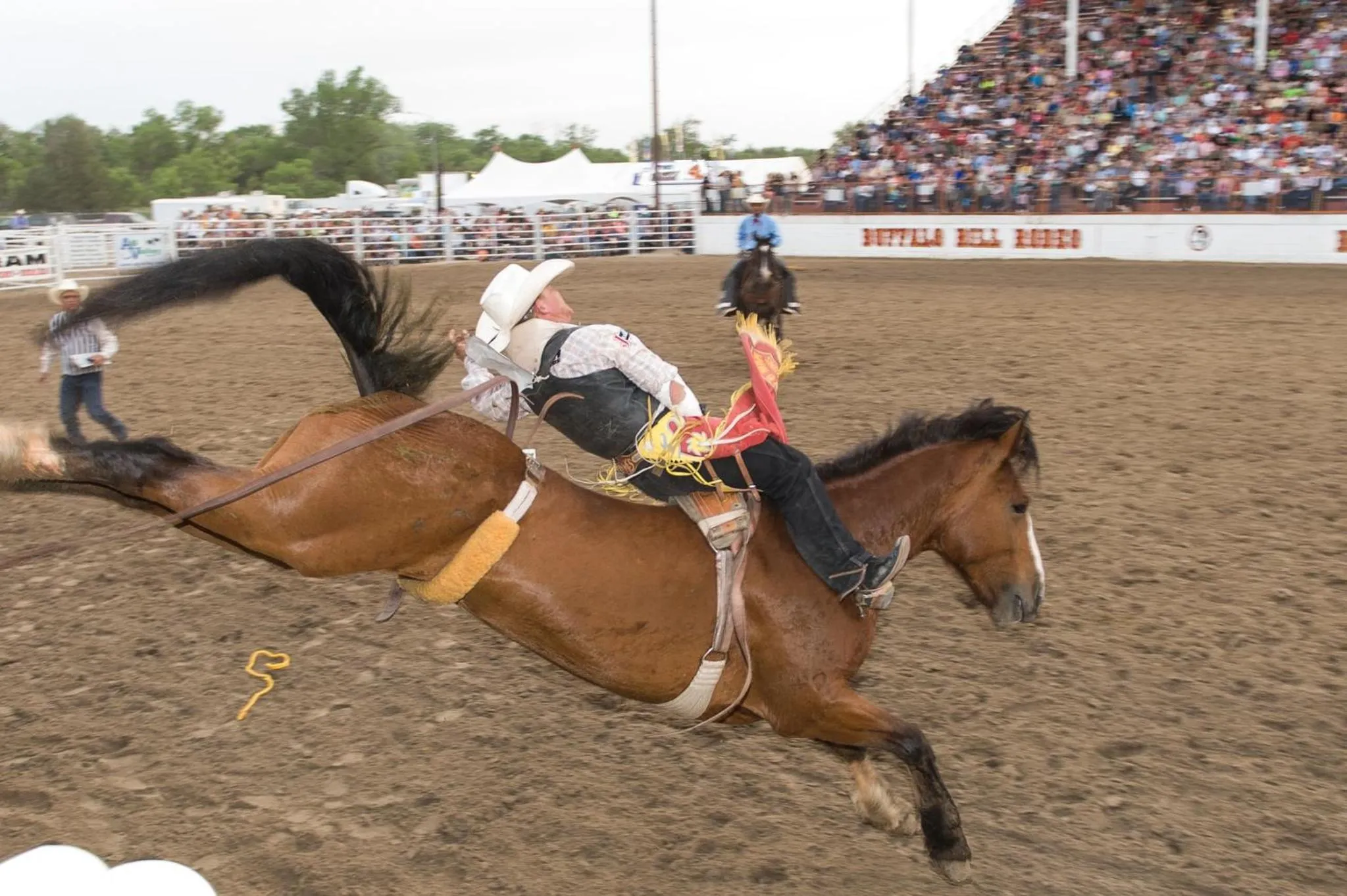 Other in Holiday Inn Express & Suites North Platte by IHG