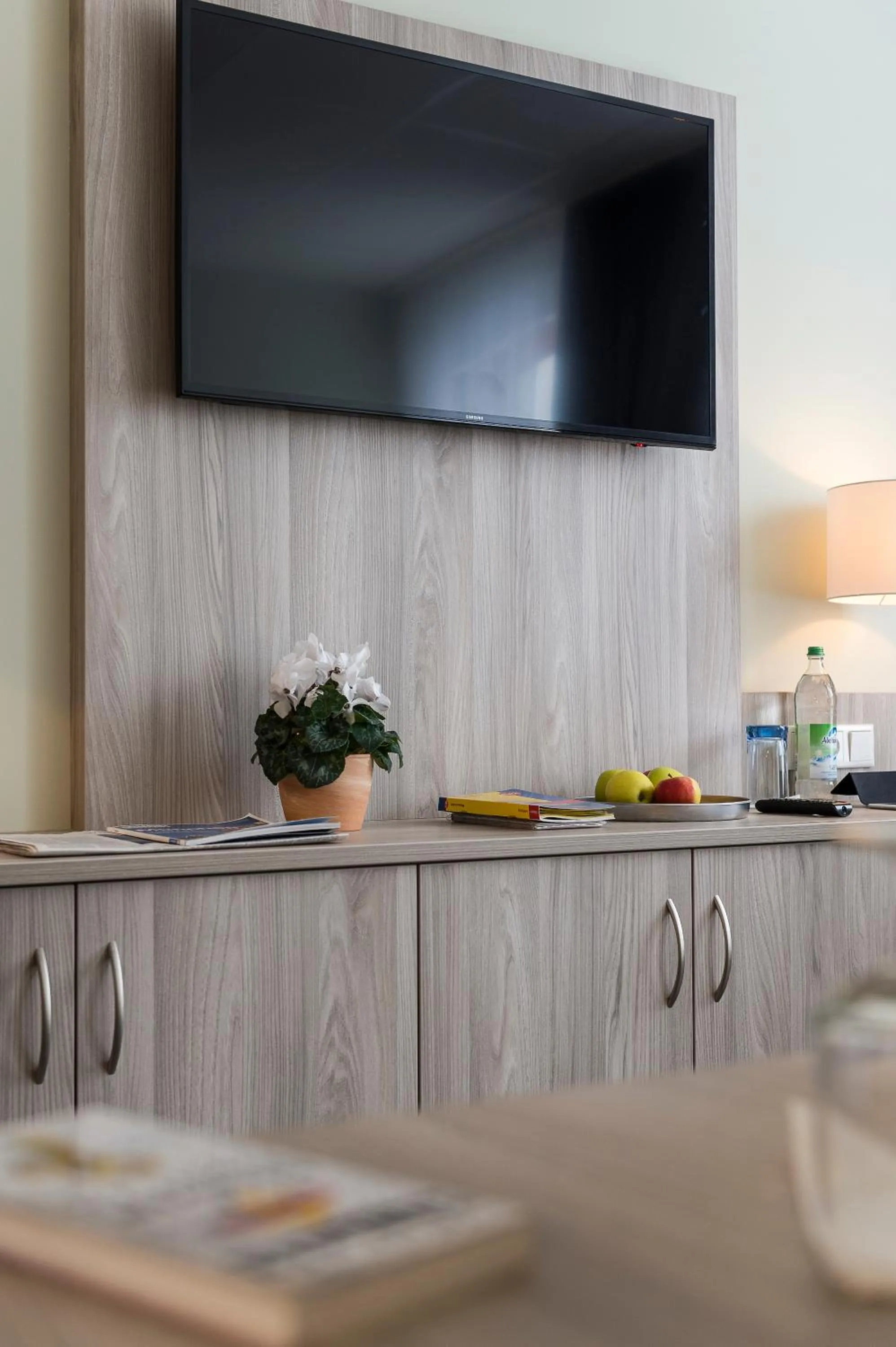 TV and multimedia in SVG Boardinghaus