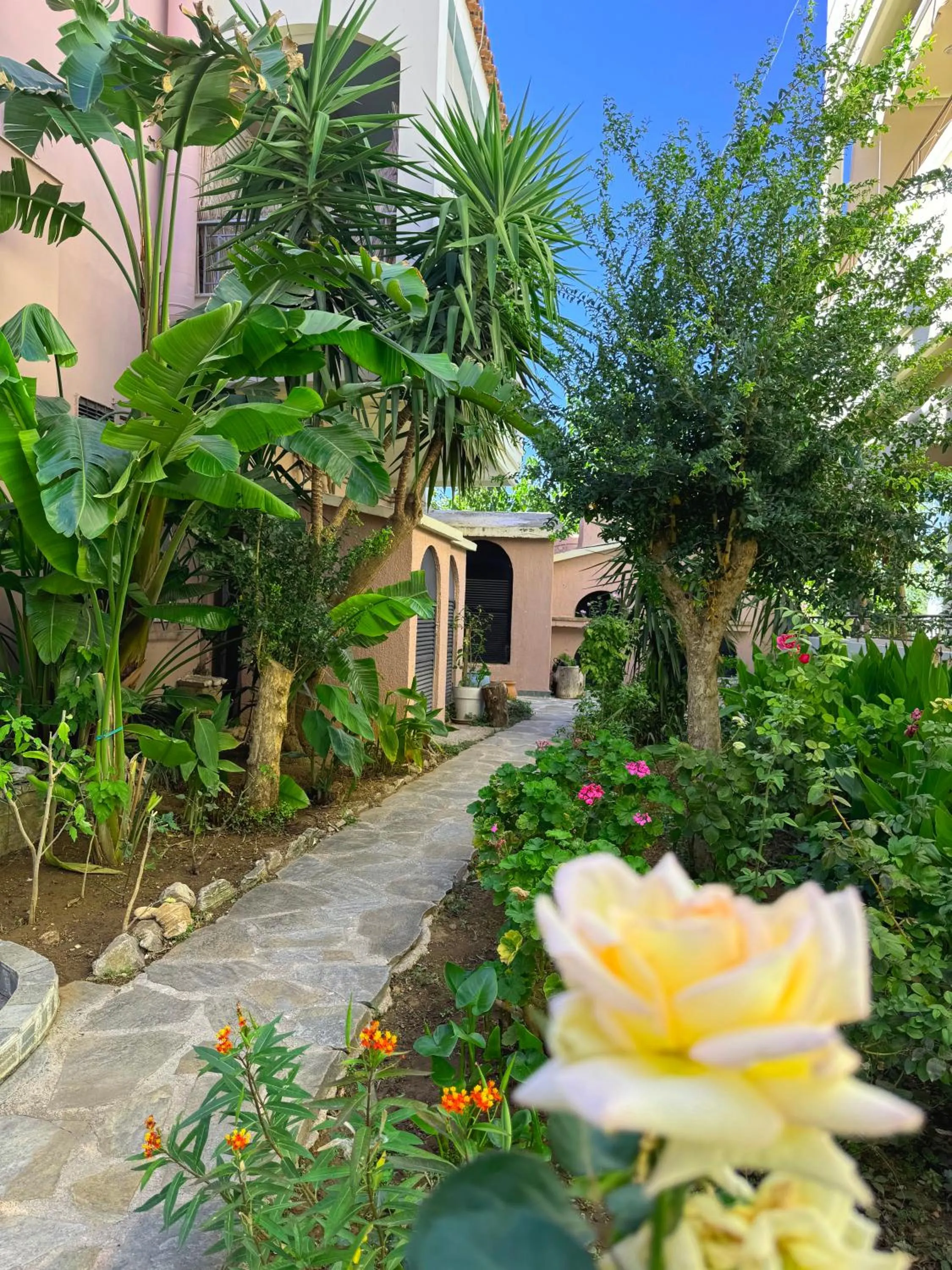 Garden in Sun Rise Hotel Apartments