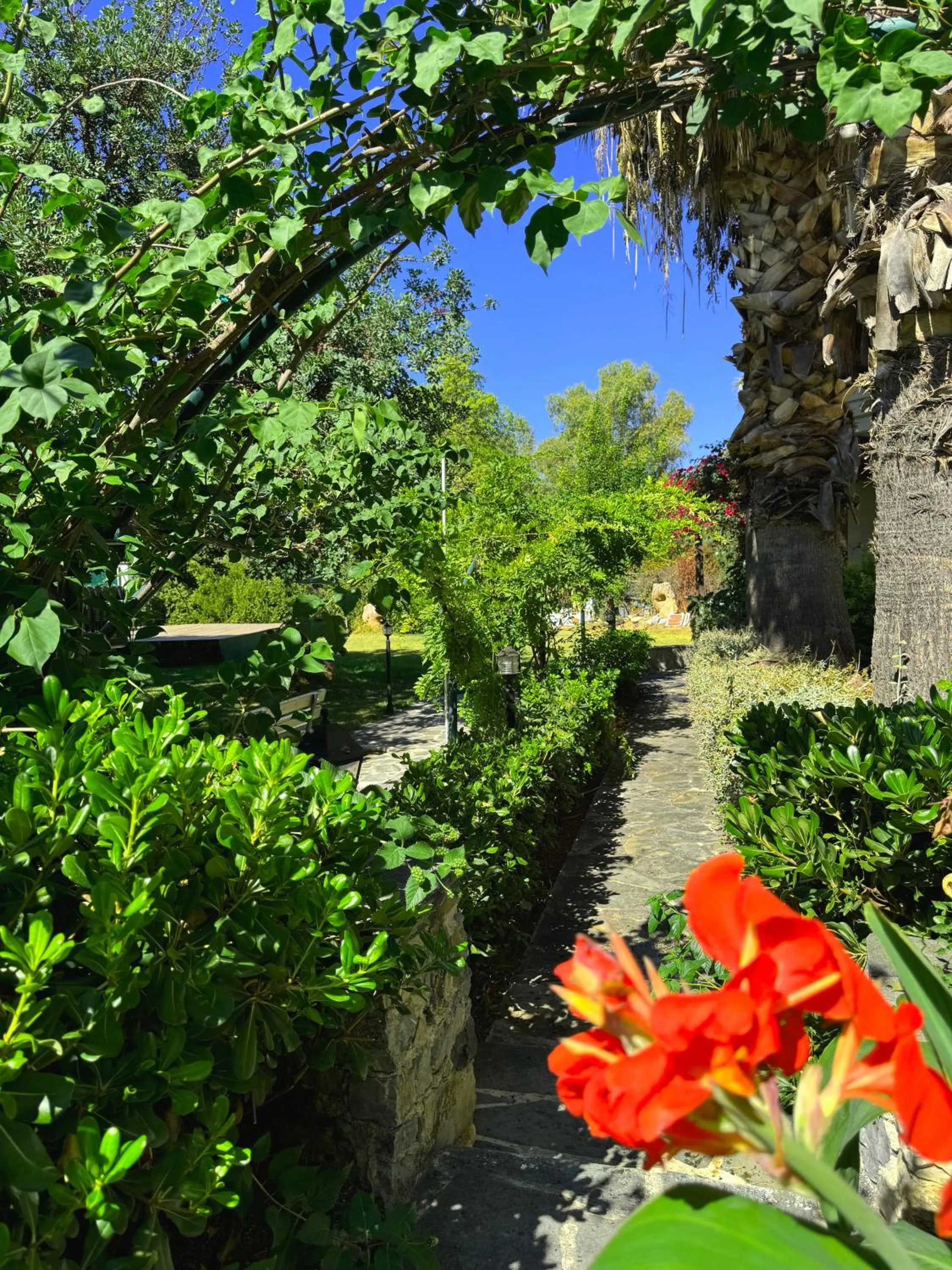 Garden in Sun Rise Hotel Apartments