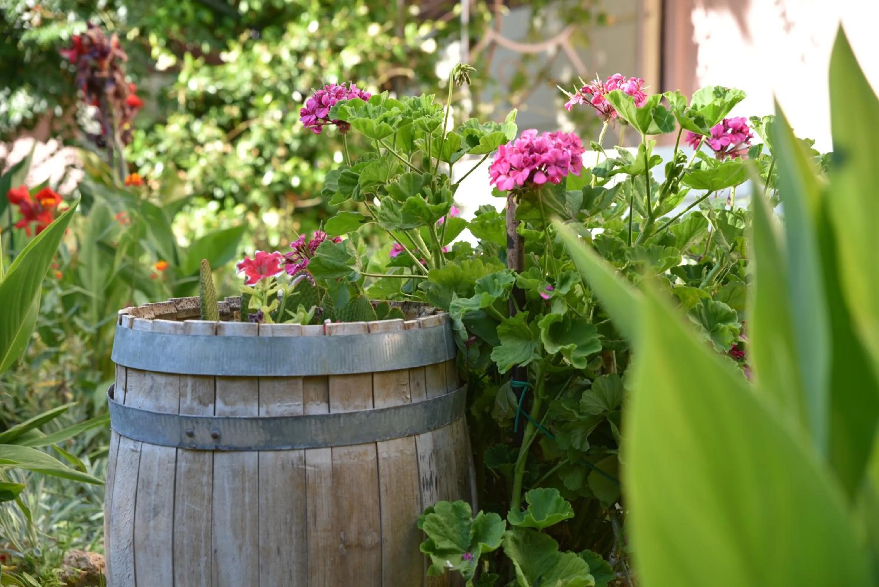 Garden in Sun Rise Hotel Apartments