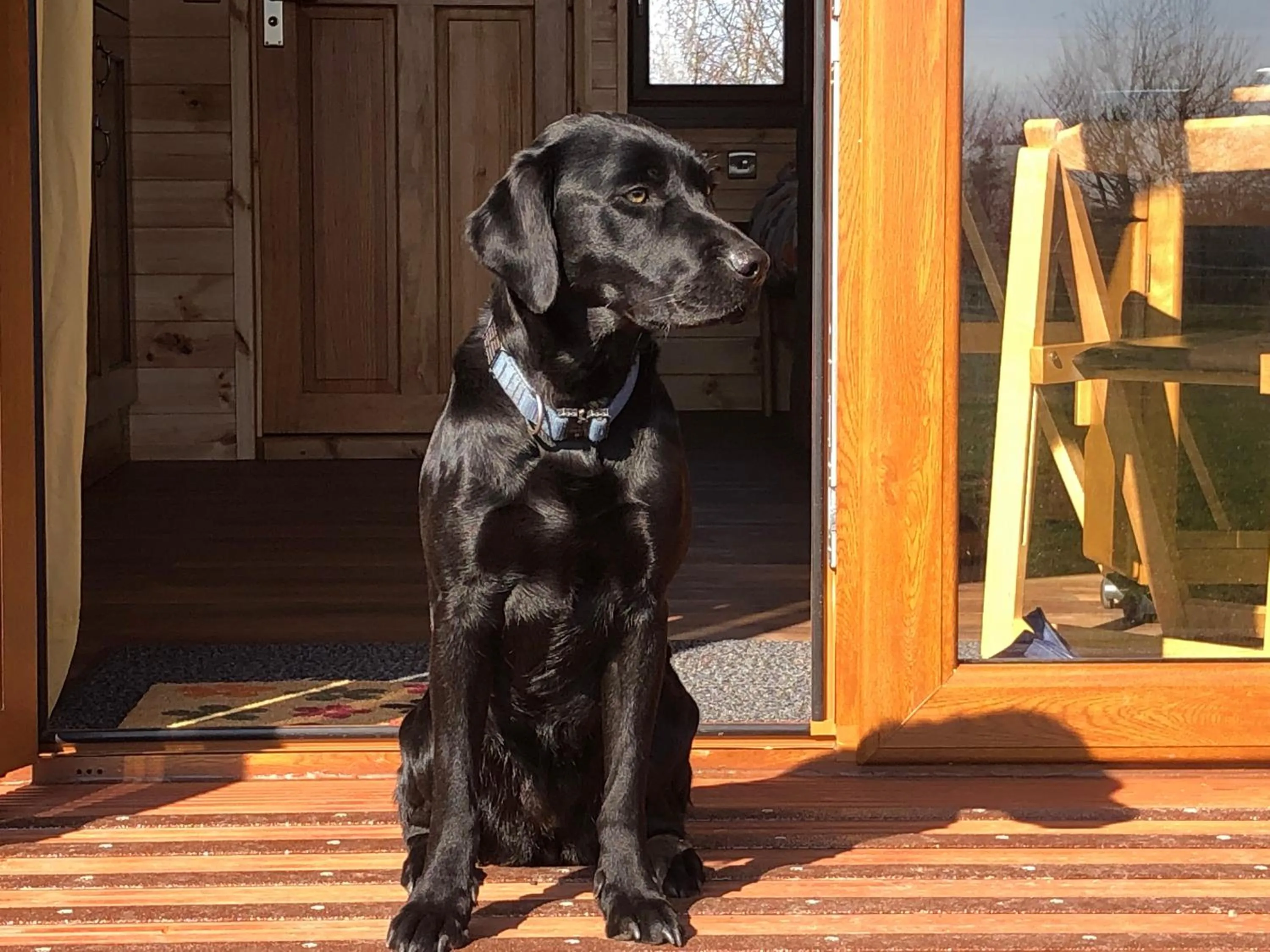 Pets in Manor Farm Stay