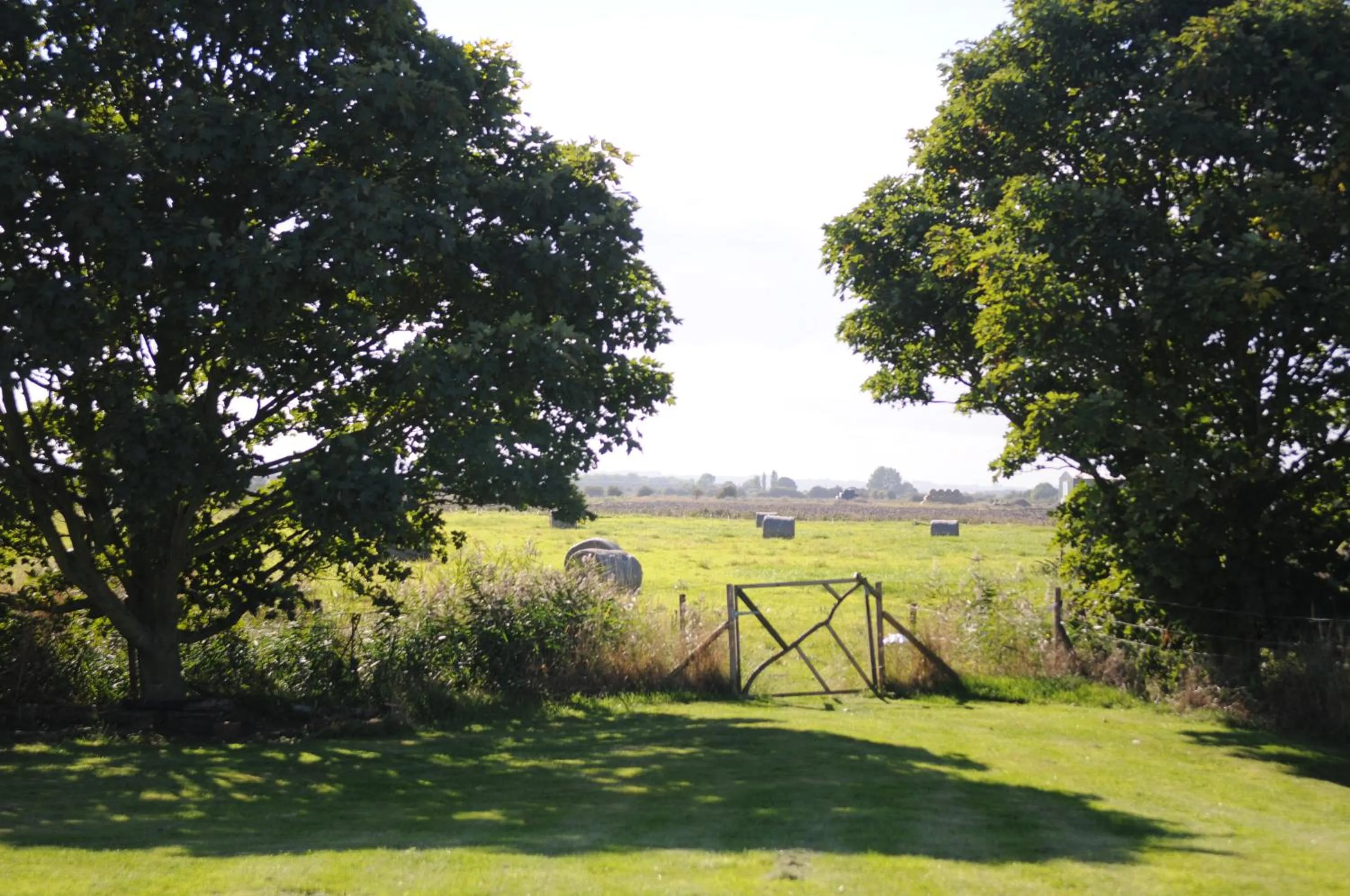 Natural landscape in Manor Farm Stay